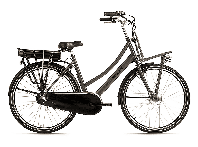 ADORE Carry On Citybike (Laufradgröße: 28 Zoll, Rahmenhöhe: 54 cm, Unisex-Rad, 468 Wh, Grau)