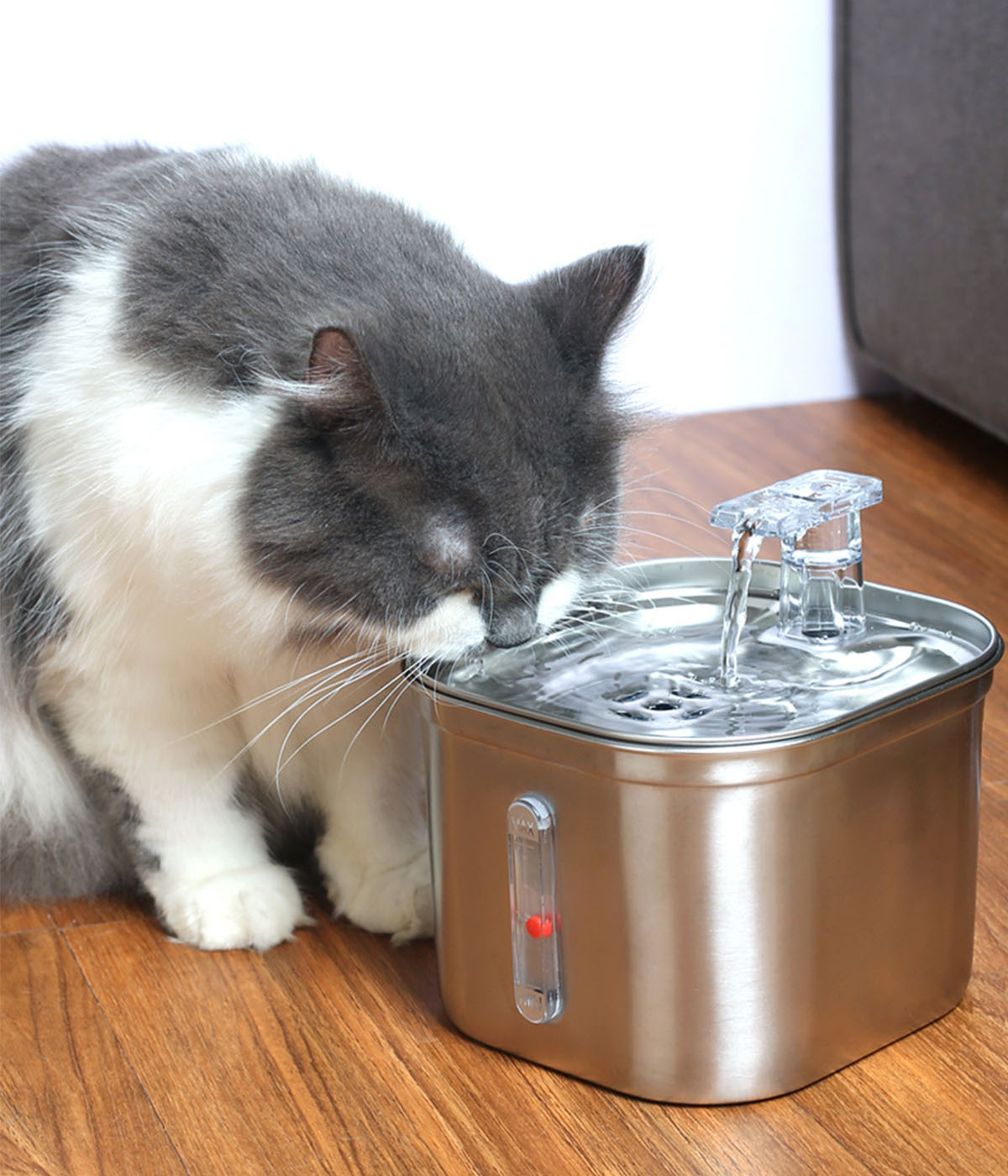 Eine grau-weiße Katze trinkt Wasser aus einem silbernen Haustierbrunnen.