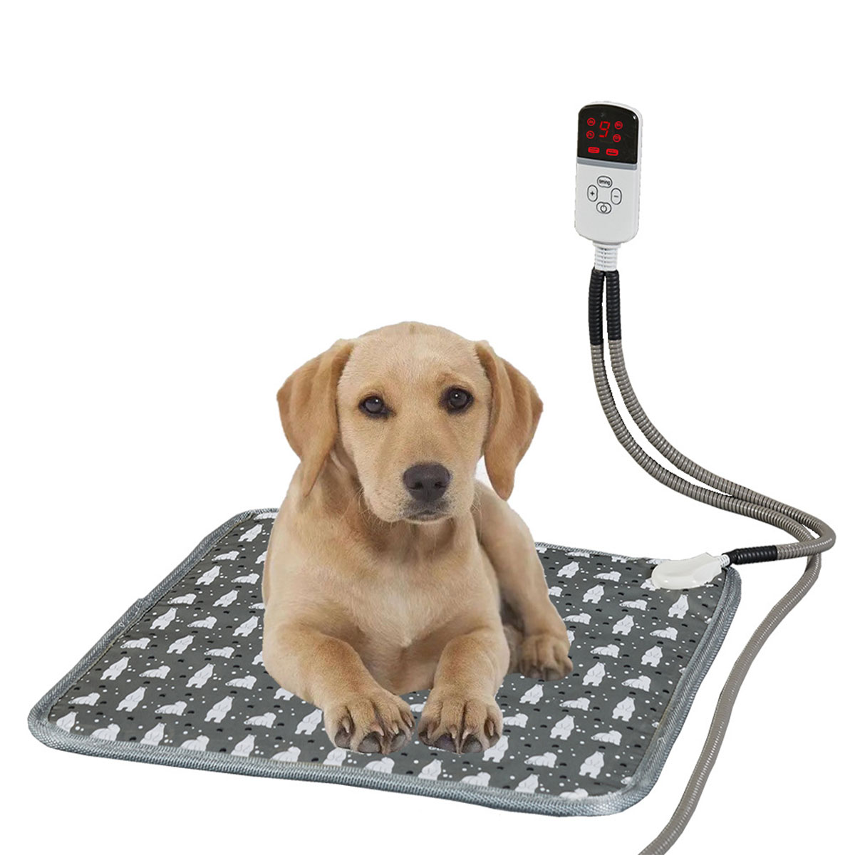 Ein Golden-Retriever-Welpe liegt auf einem Hundebett mit einer Heizauflage und Steuerung.