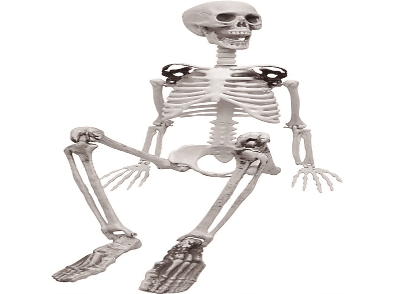 COZEVDNT Squelette Réaliste avec Articulations Mobiles Halloween Deko