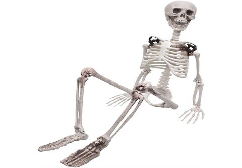 COZEVDNT Squelette Réaliste avec Articulations Mobiles Halloween Halloween- Deko, weiß