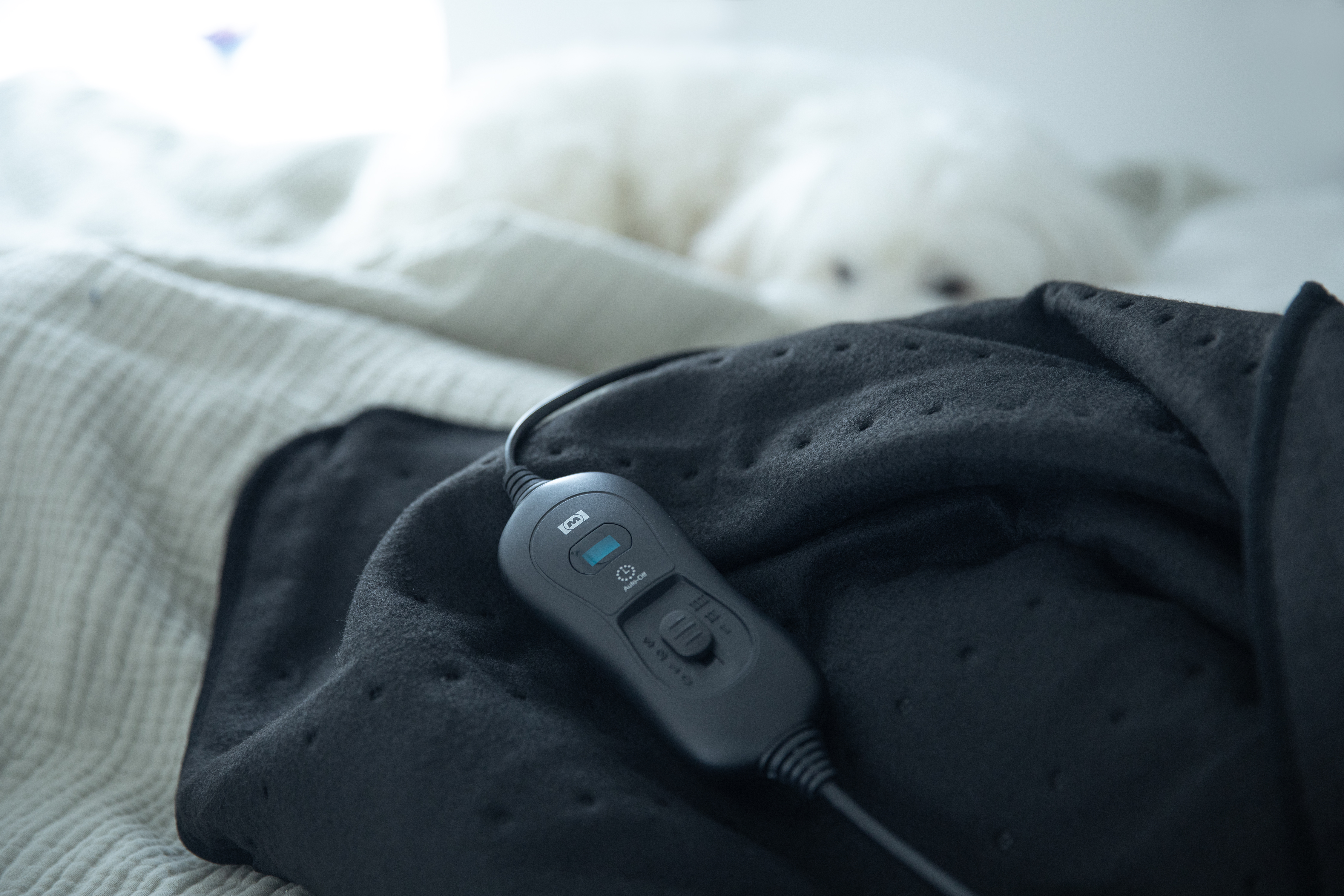 Schwarzes Heizkissen mit Bedienfeld, auf einem Bett mit Hund darüber.