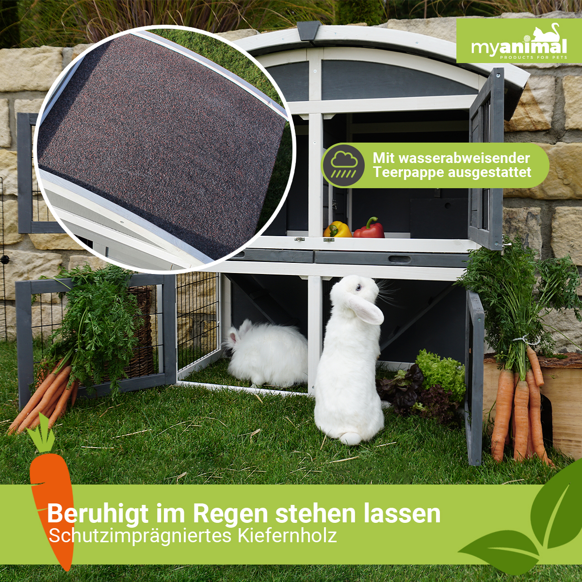 Kaninchenstall mit zwei Kaninchen, Karotten und Gemüse. Text auf Deutsch.