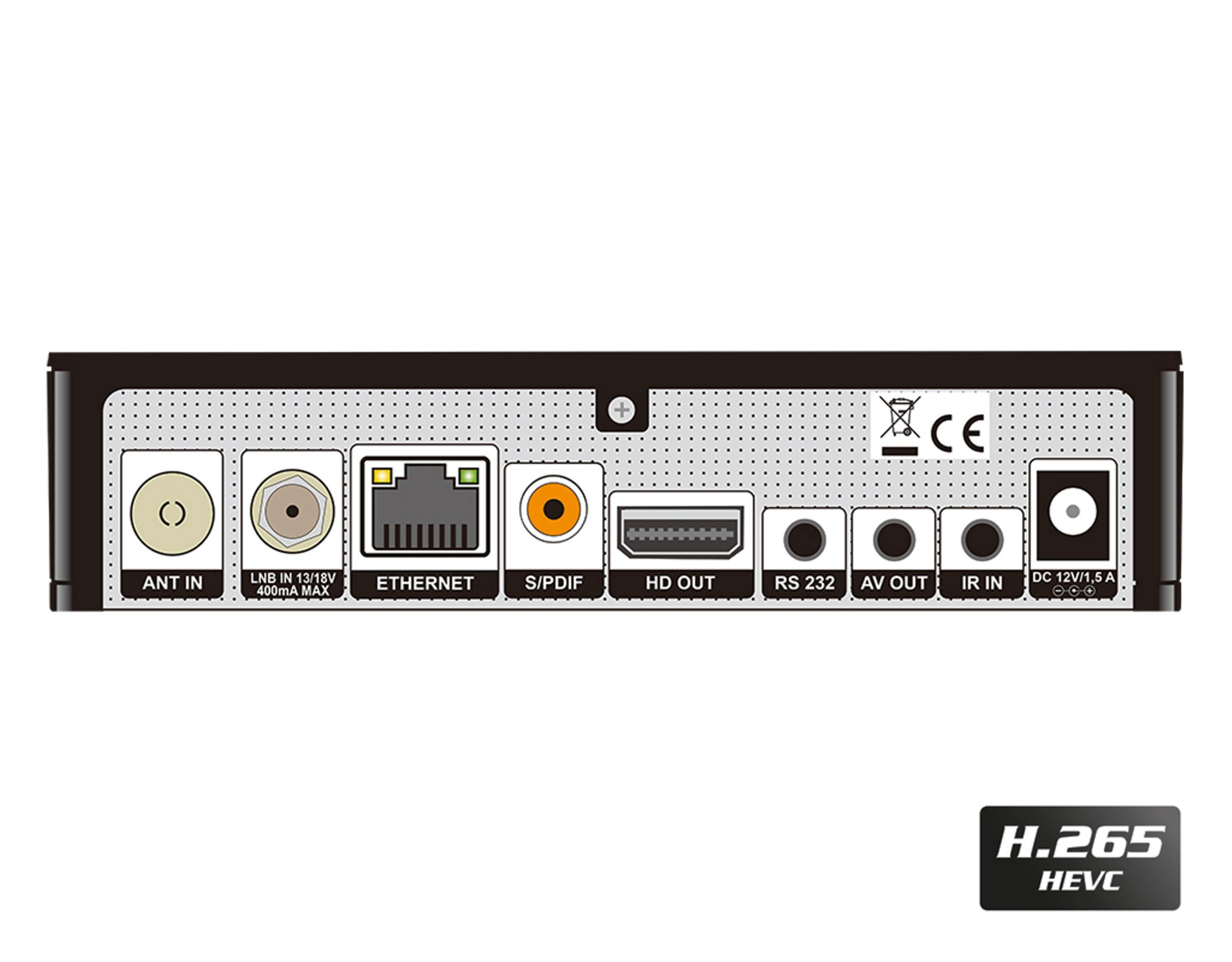 Rückseite einer schwarzen TV-Box mit mehreren Anschlüssen: ANT IN, Ethernet, S/PDIF, HD OUT und andere.