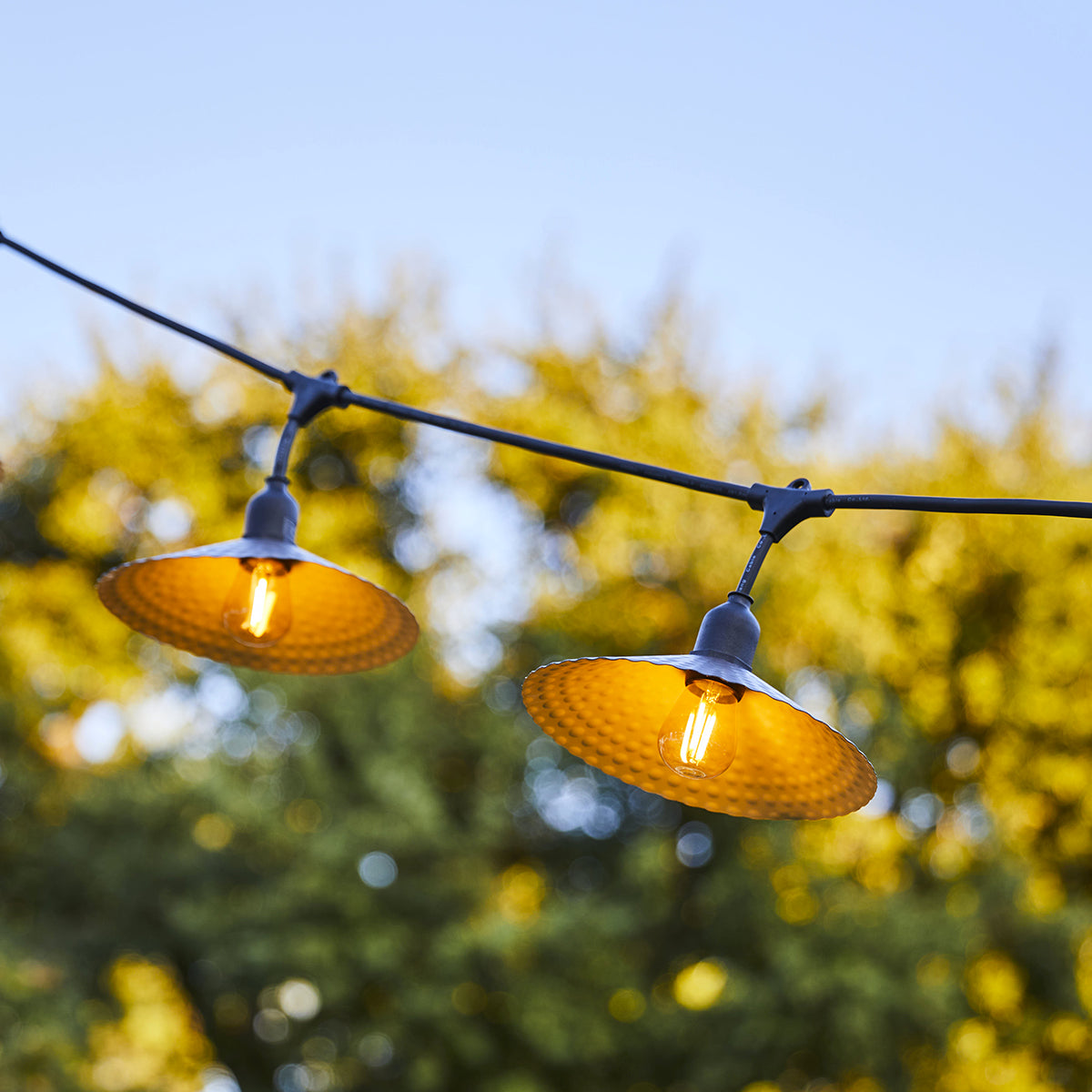 Lichterkette mit zwei eingeschalteten Lichtern. Hintergrund ist grün verschwommen.