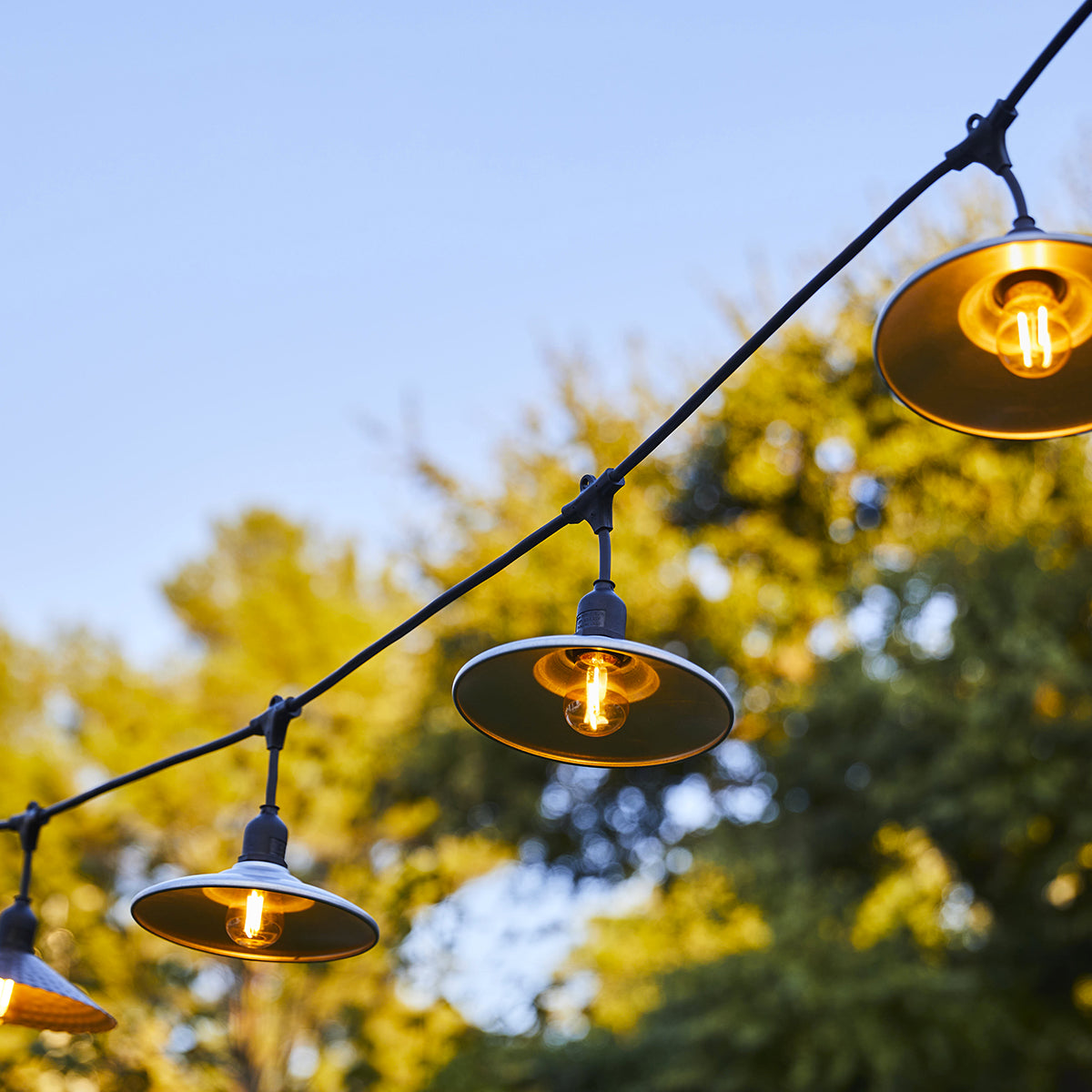 Lichterkette mit goldenen Lampen. Die Lichter hängen vor grünem Hintergrund.