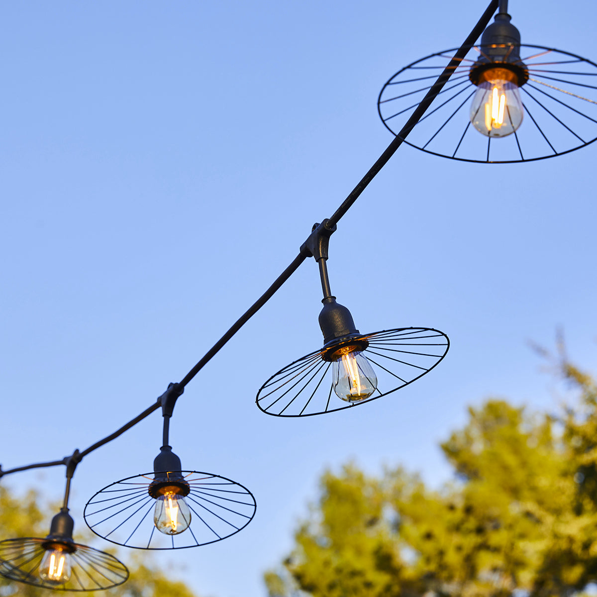 Eine Lichterkette mit runden Schirmen, die vor blauem Himmel und grünen Bäumen hängt.