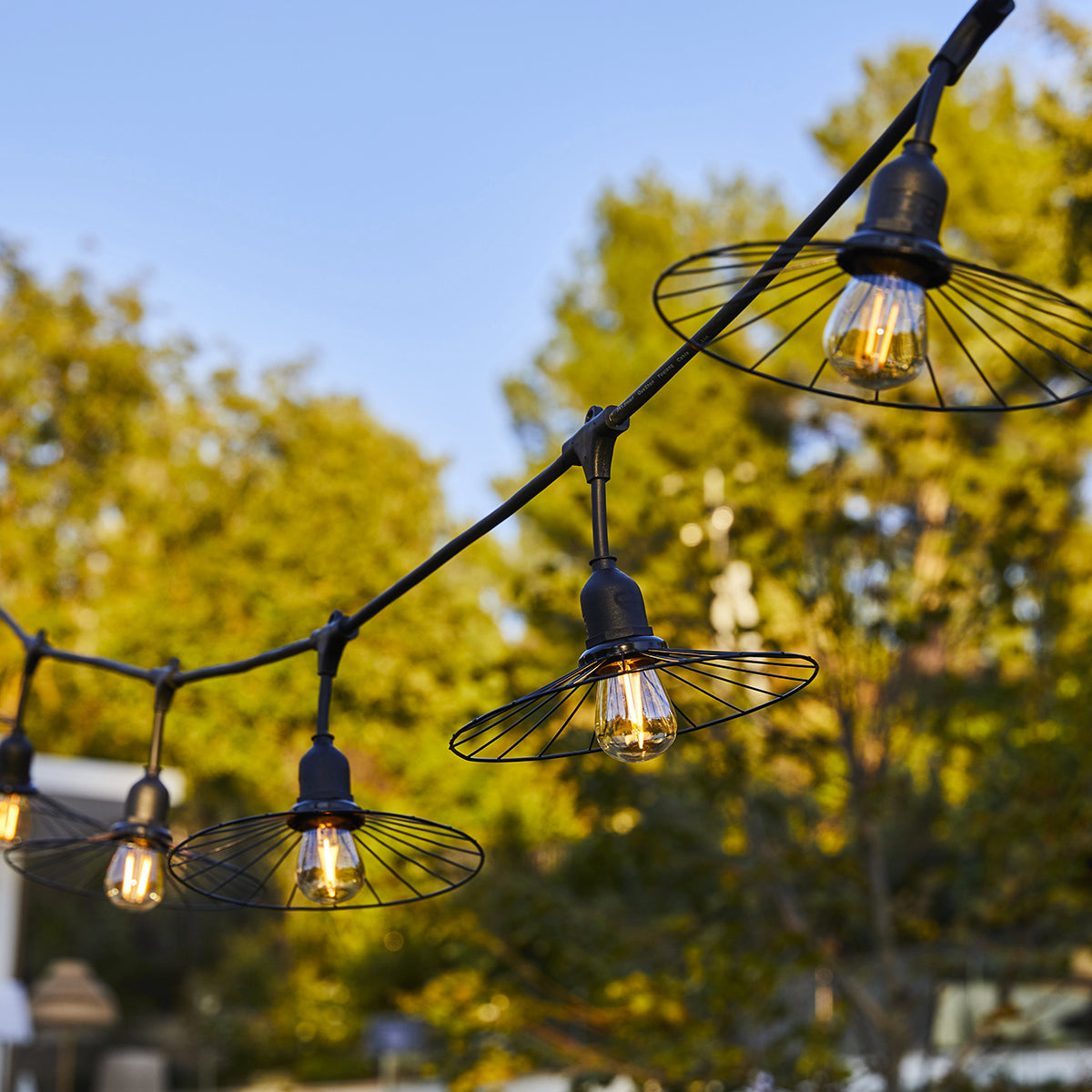 Lichterketten mit schwarzen Metallschirmen hängen vor einem grünen Baum.
