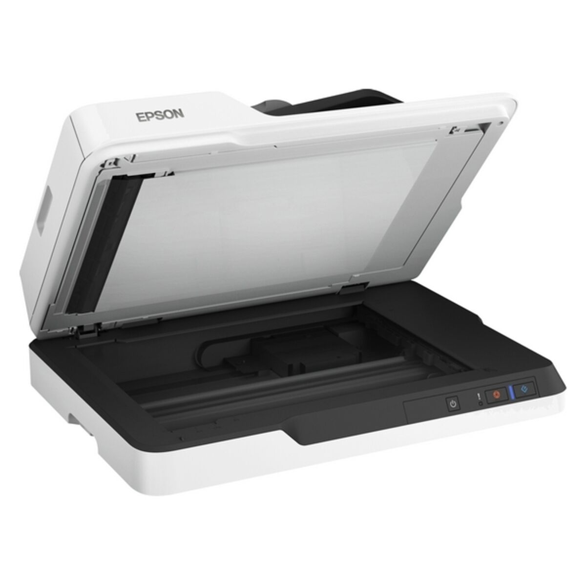 Scanner Epson bianco aperto, che mostra il piano in vetro. Pulsanti in basso.