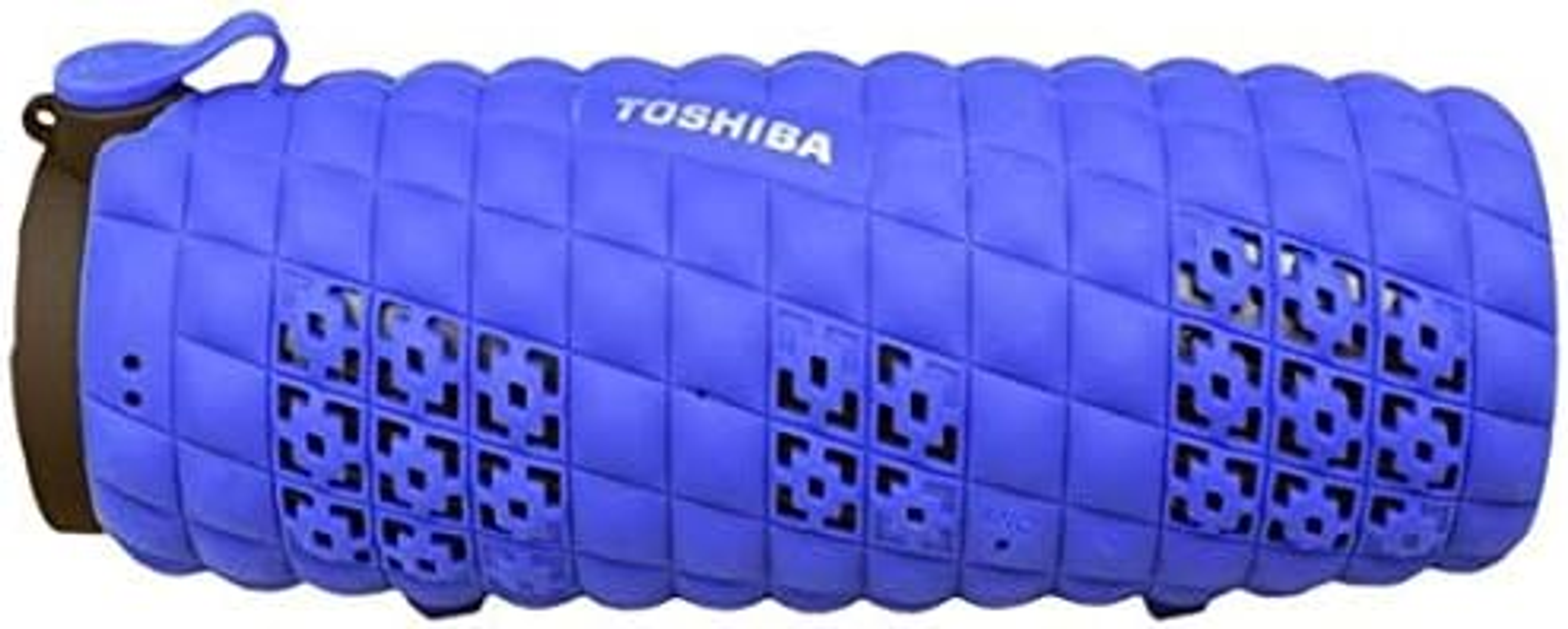 TOSHIBA Lautsprecher, 10286377 Bluetooth Blau