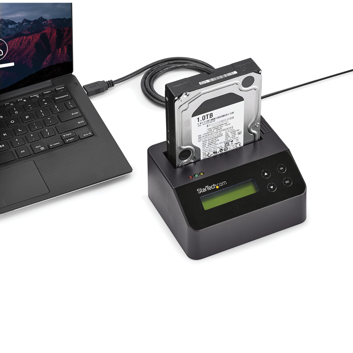Festplatte in einem schwarzen Dock, das mit einem Laptop verbunden ist. Weißer Hintergrund.