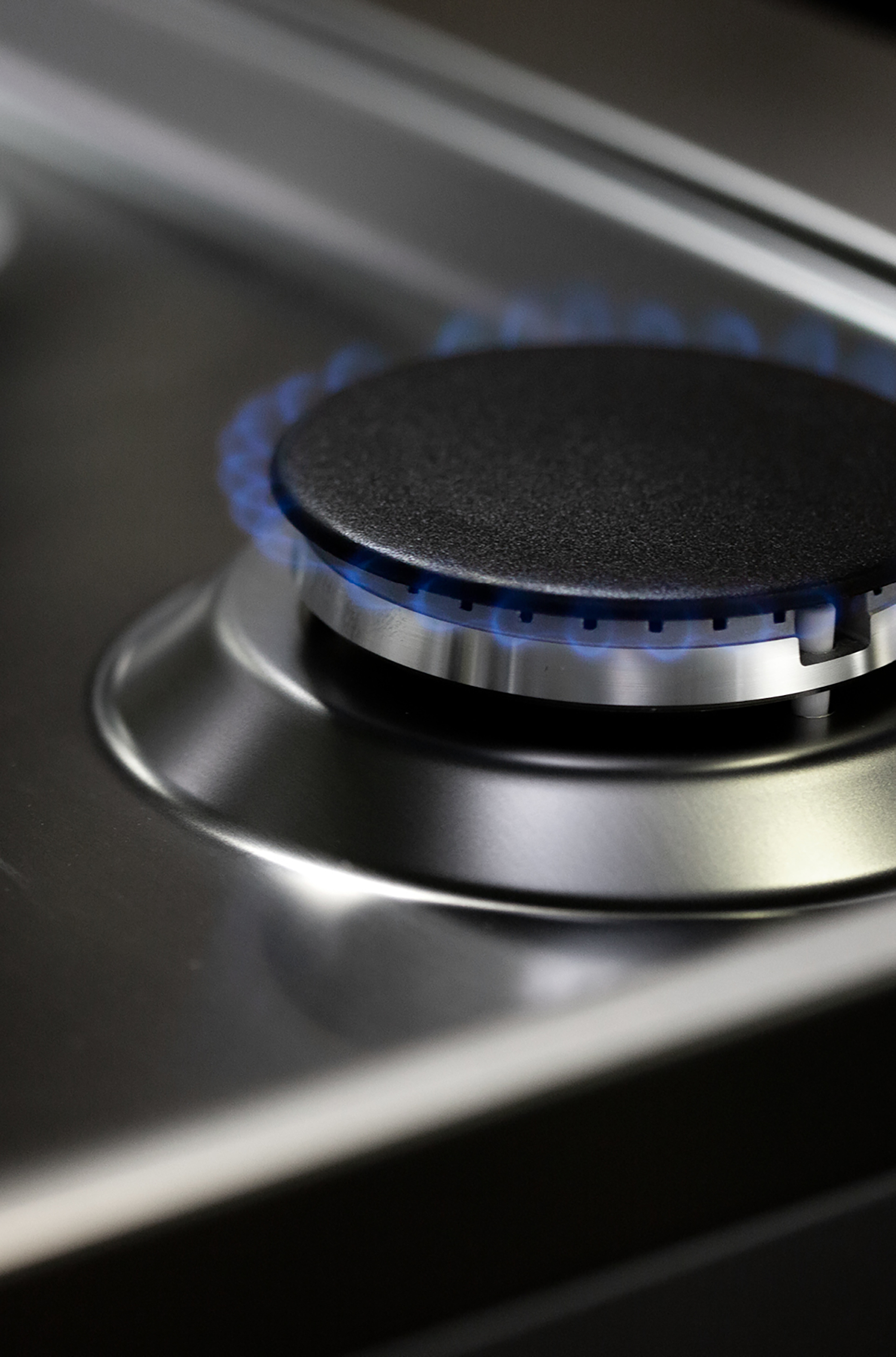 Primer plano del quemador de una estufa de gas con llamas azules.