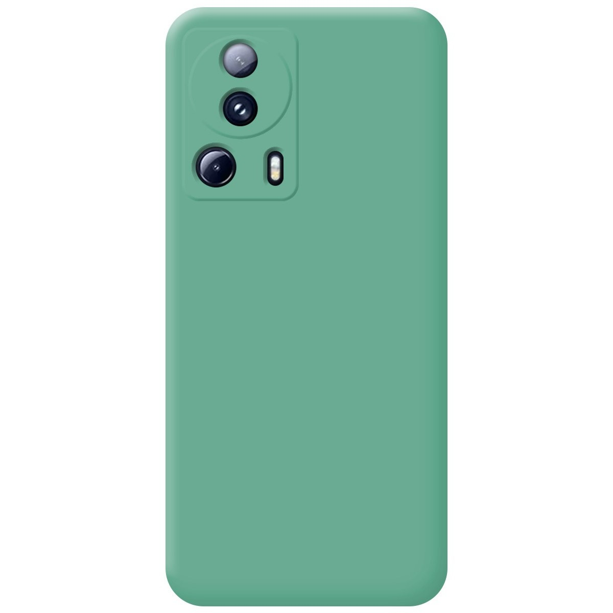 Custodia per telefono verde tinta unita con lenti della fotocamera visibili.