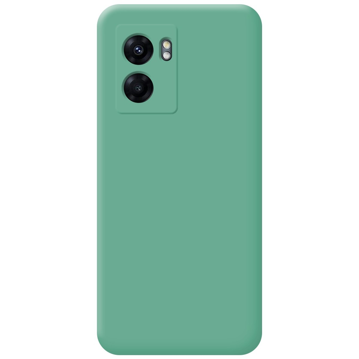 Custodia: Verde. Nessuno schermo visibile.