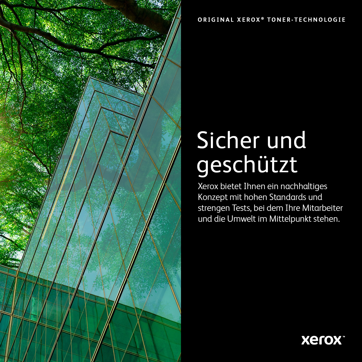 Edificio moderno con facciata in vetro, che riflette alberi e cielo, con testo su Xerox.