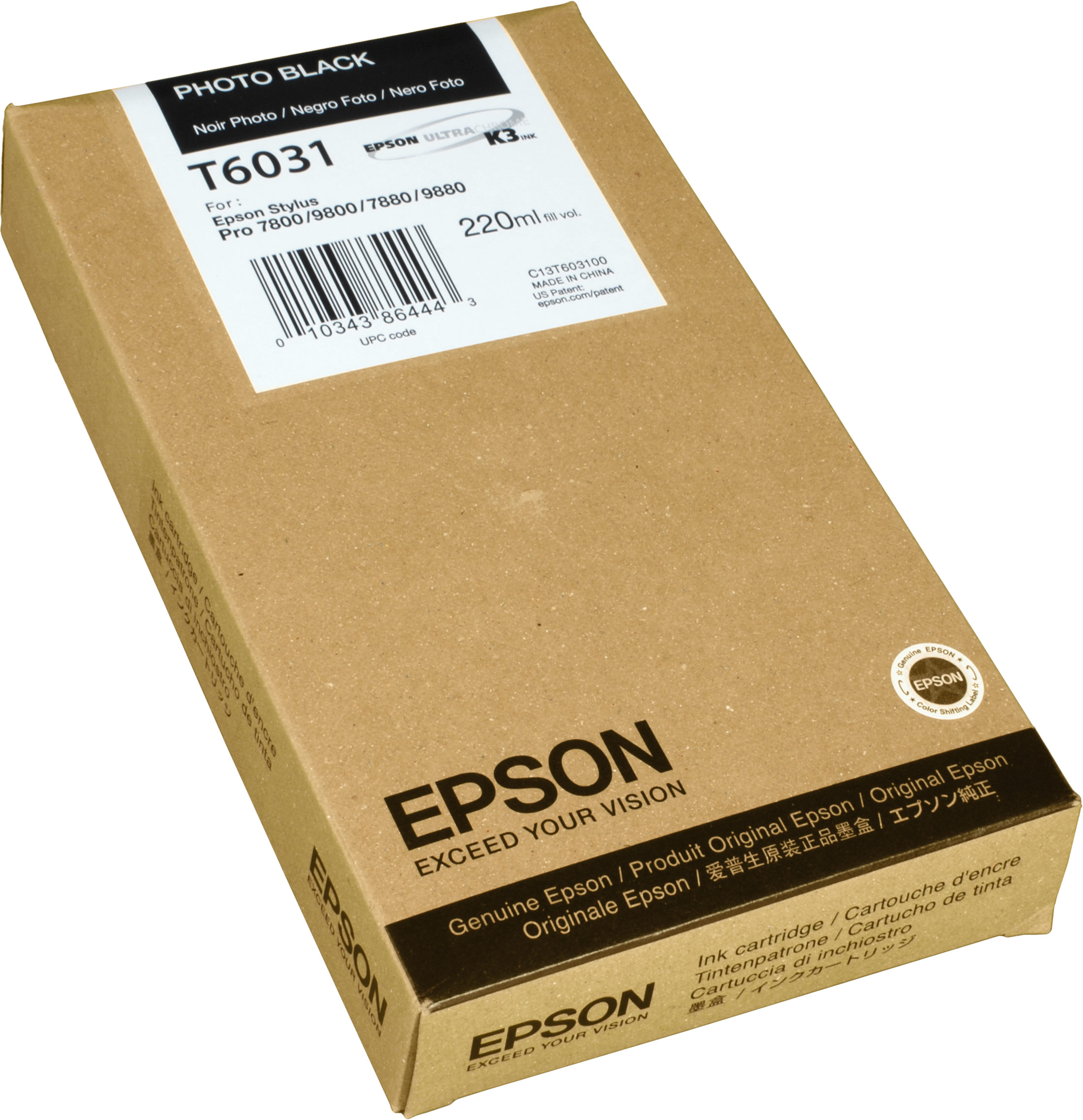 EPSON C13T603100 Tinte photo schwarz (C13T603100)