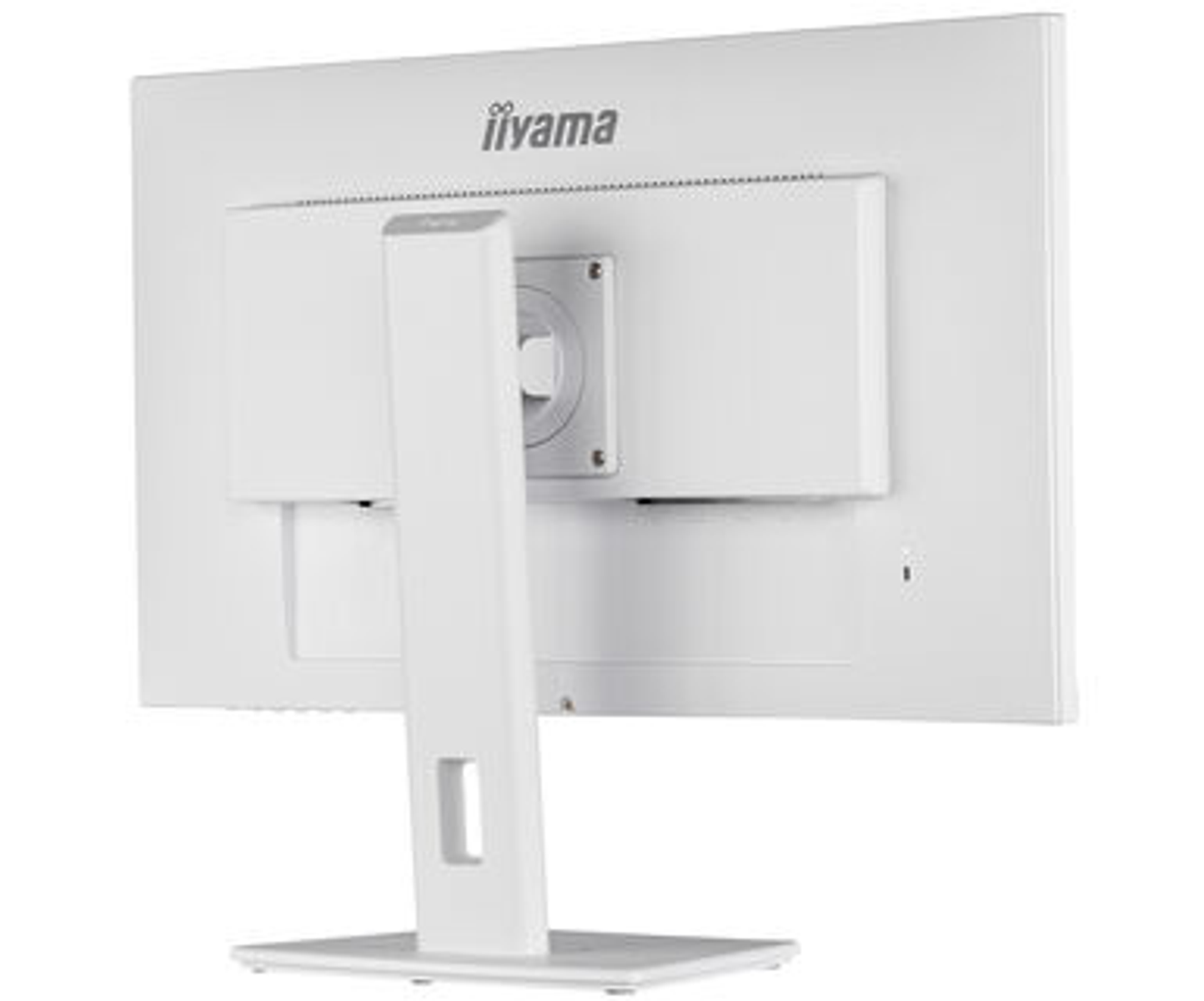 Rückansicht eines weißen Computermonitors. Der Markenname "iiyama" steht oben.