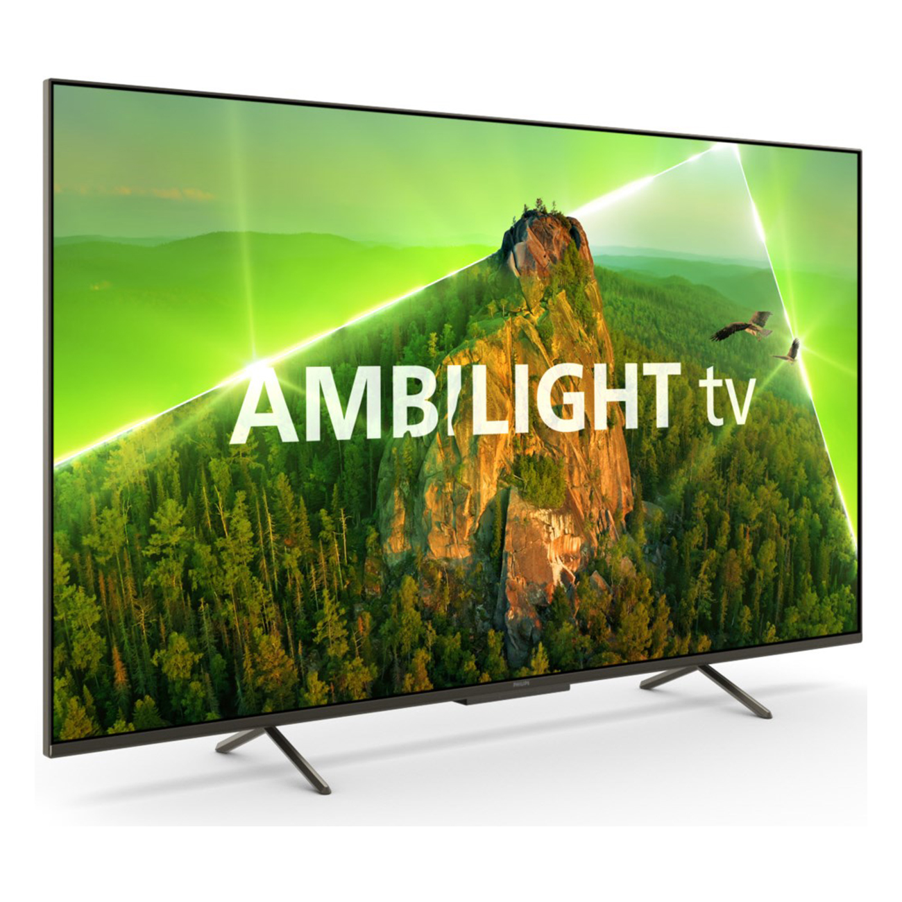 Ein großer Fernseher mit einer lebendigen Naturszene und den Worten AMBILIGHT tv.