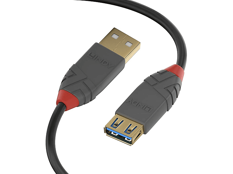 LINDY 36762 Câble USB 2 m Noir | MediaMarkt
