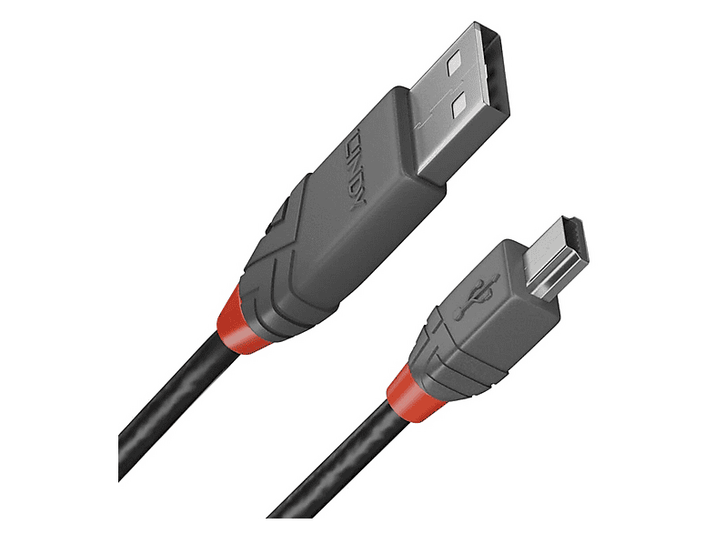 InLine Cavo USB 3.2 Gen.1 A maschio / A maschio nero 0,3m 35203