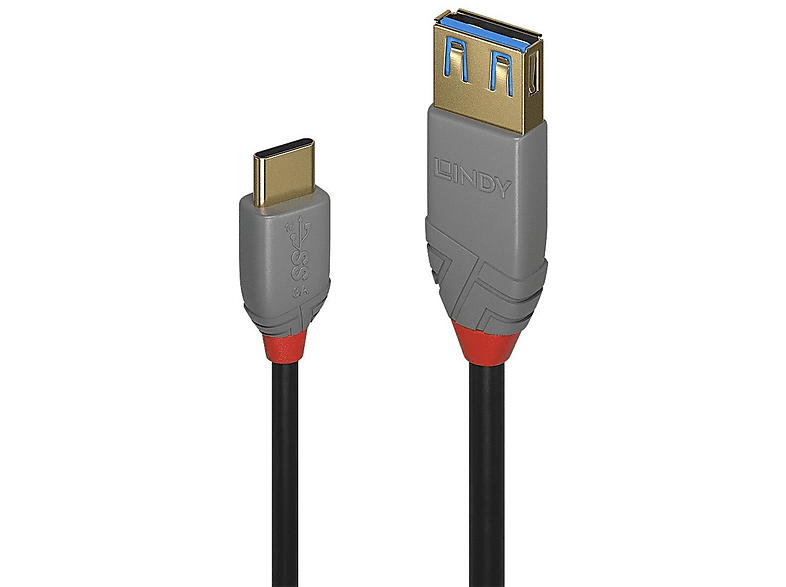 LINDY USB-C-zu-DisplayPort-Adapter 36895