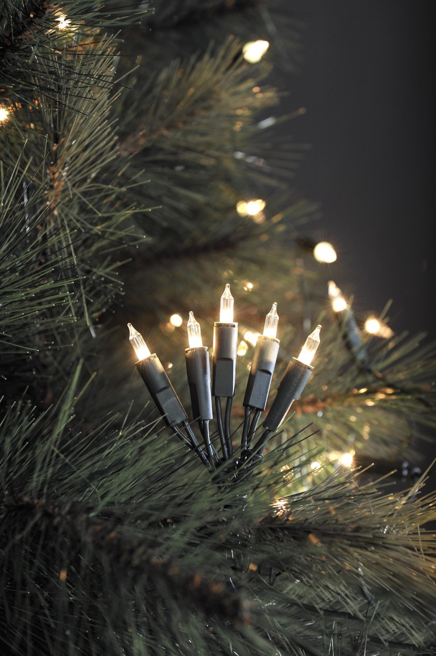 Nahaufnahme eines Weihnachtsbaumzweigs mit kleinen, beleuchteten Lichtern mit schwarzem Draht.