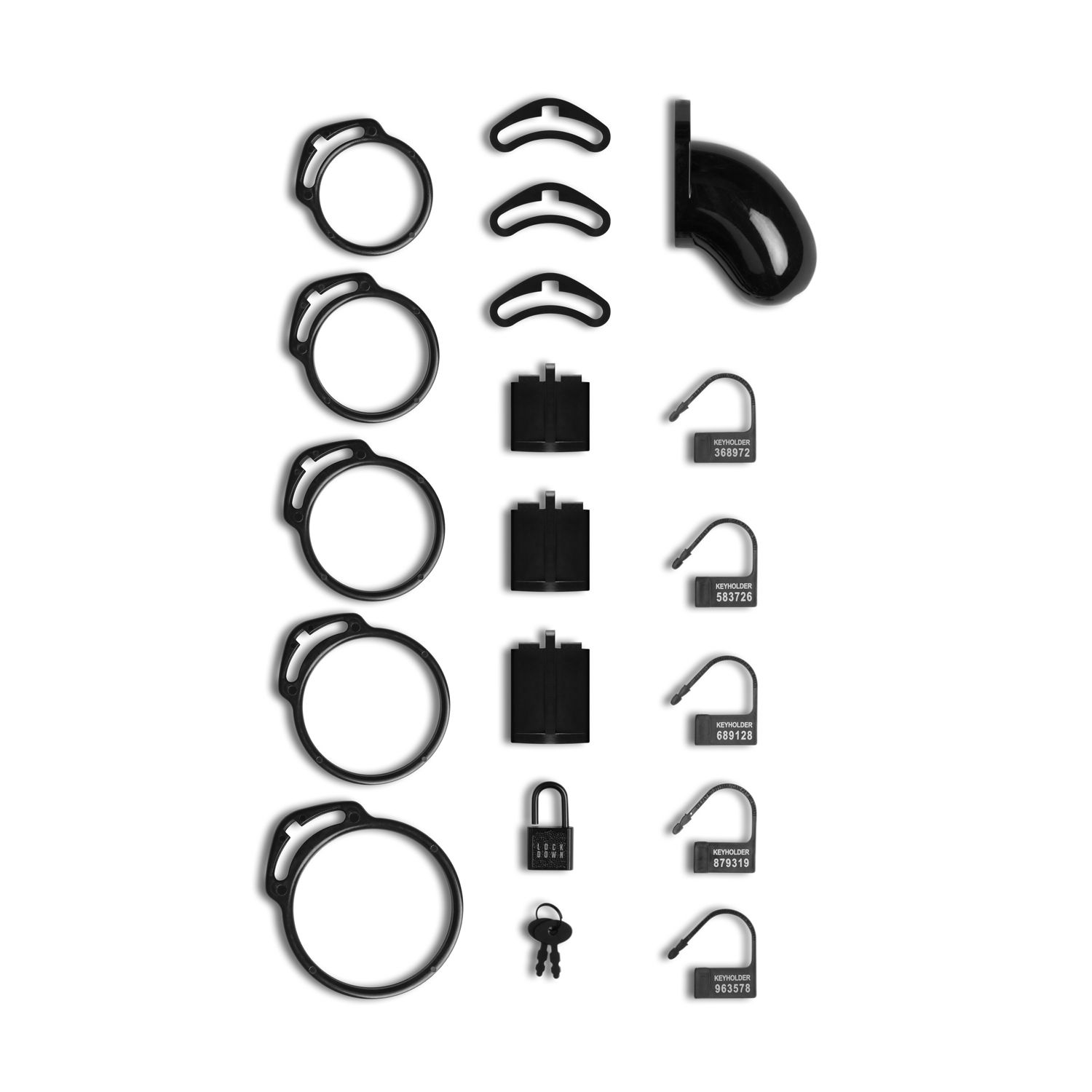 Schwarze Keuschheitsvorrichtungsteile, einschließlich Ringe, Schlösser und Schlüssel, auf Weiß angeordnet.
