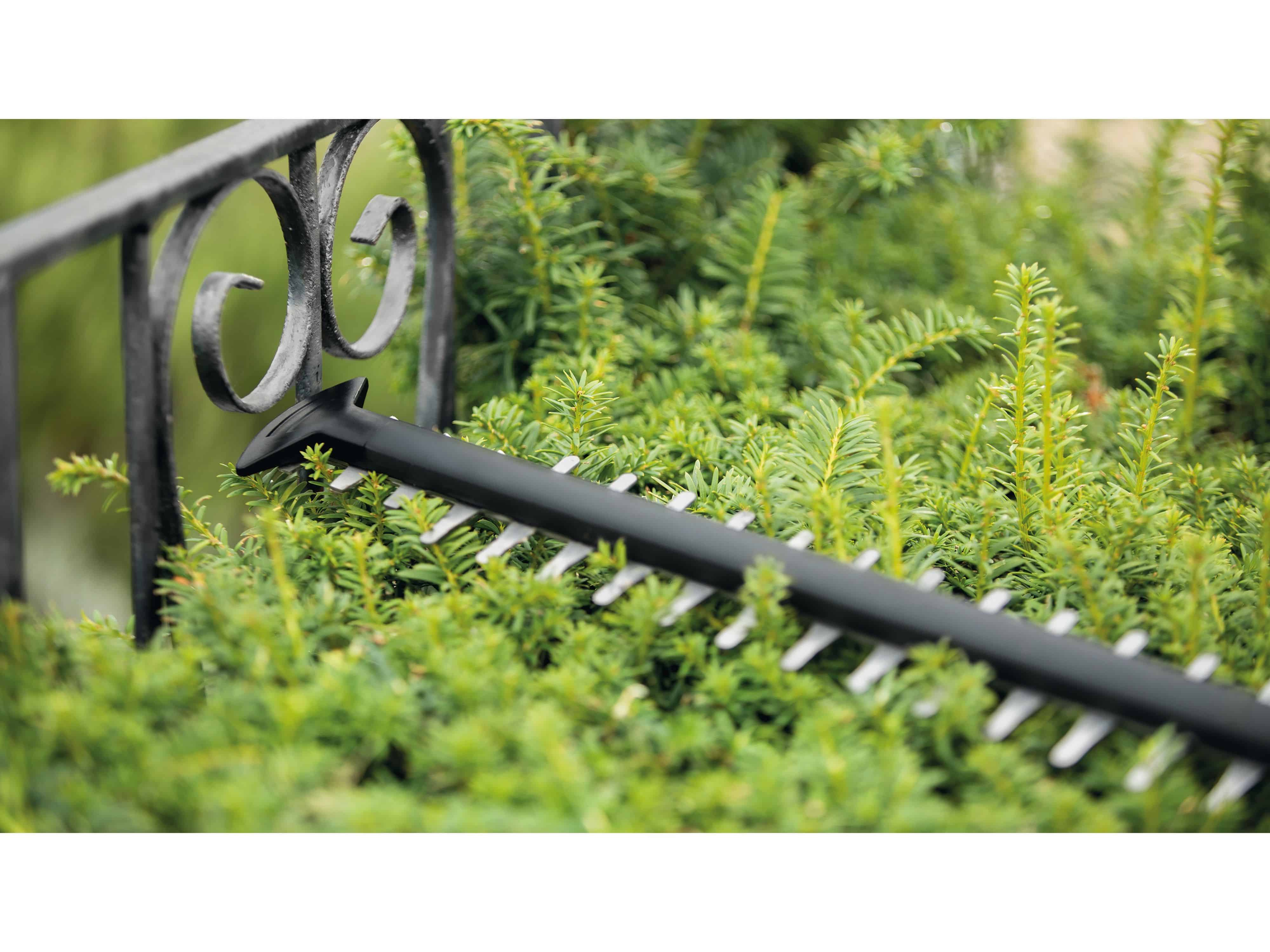 Cortasetos  - UniversalHedgeCut 50 BOSCH, Green