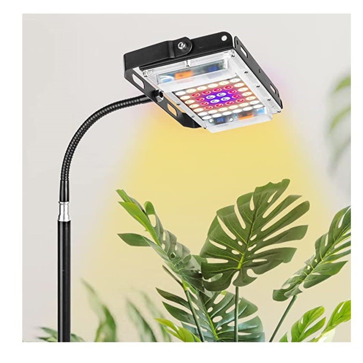 LED grow light on a stand, illuminating green plant leaves.