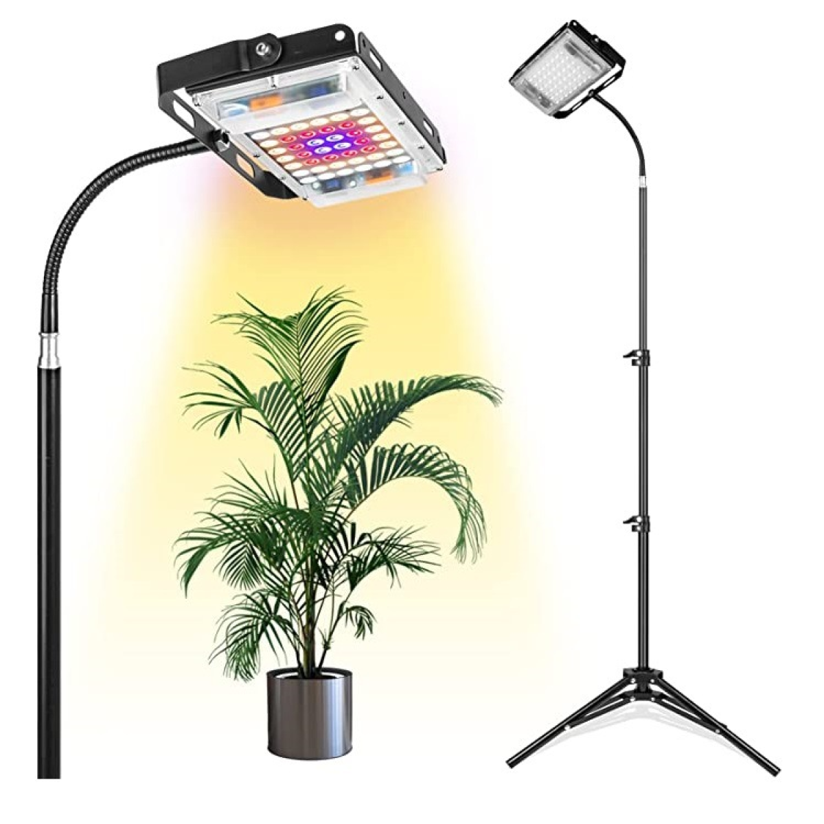 Deux lampes de croissance, une avec une plante, une avec des lumières, toutes deux sur des supports. La lumière de gauche est pliée.