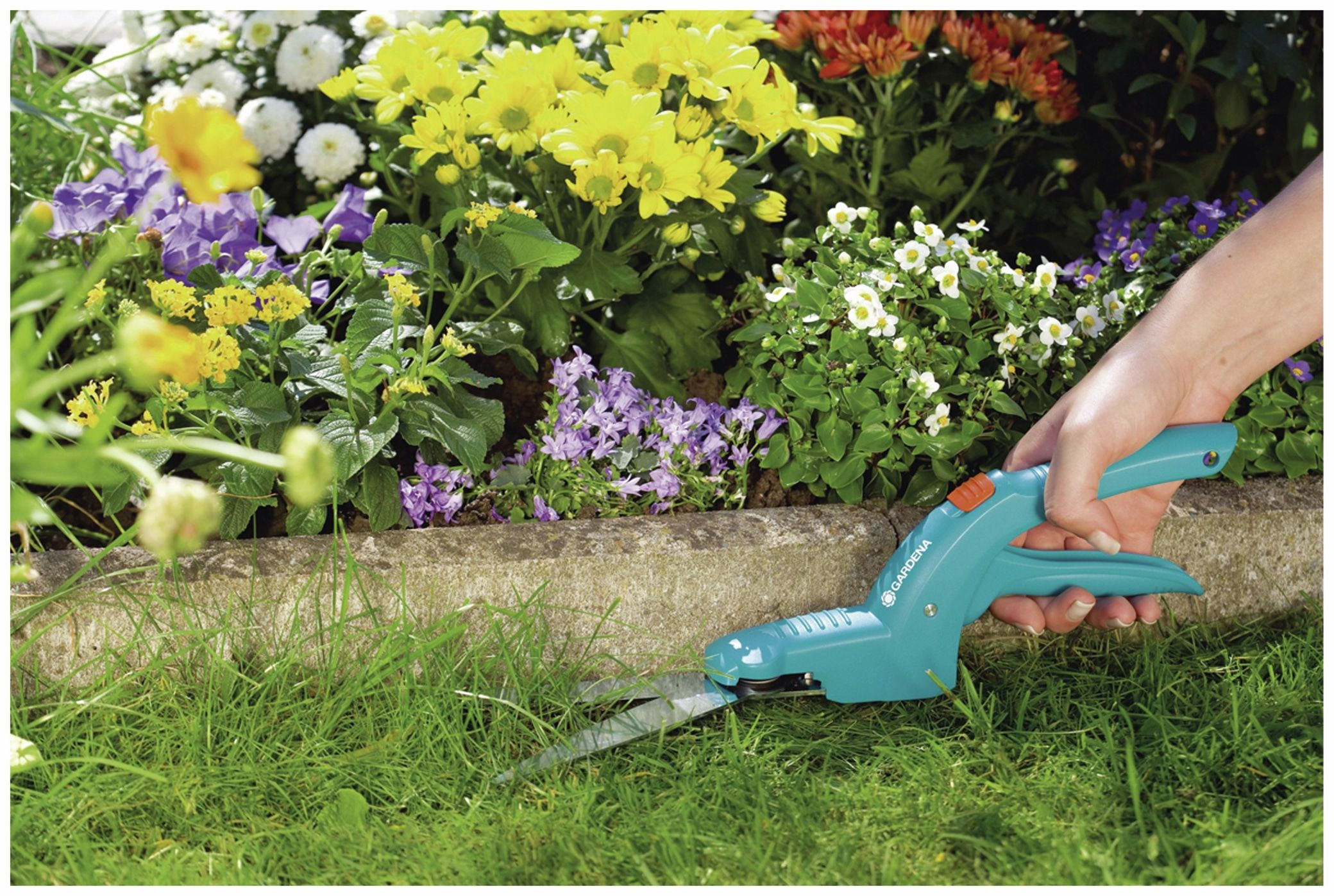 Ręka trzyma turkusowe nożyce, tnąc trawę w pobliżu kwietnika z żółtymi, fioletowymi i białymi kwiatami. Widoczna betonowa krawędź.