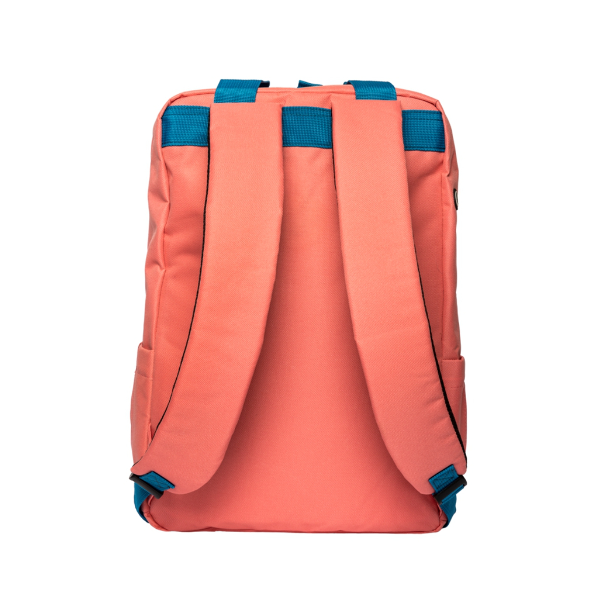 Korallenfarbener Rucksack mit blauen Trägern, von hinten gesehen. Weißer Hintergrund.