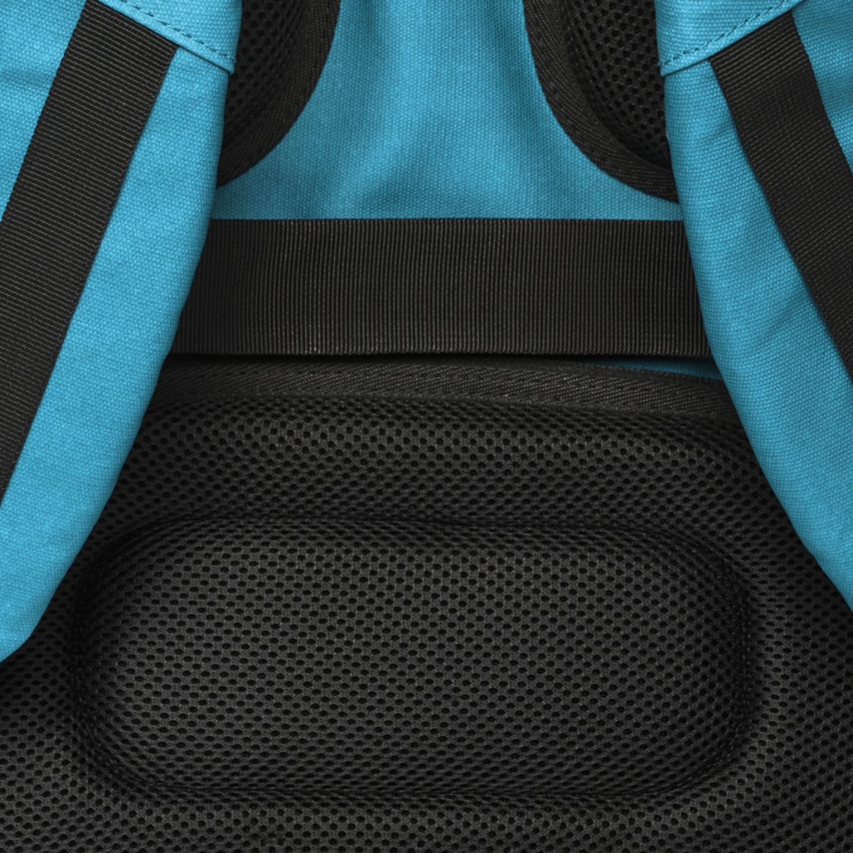 Parte trasera de una mochila azul y negra. Tiene acolchado de malla y correas.