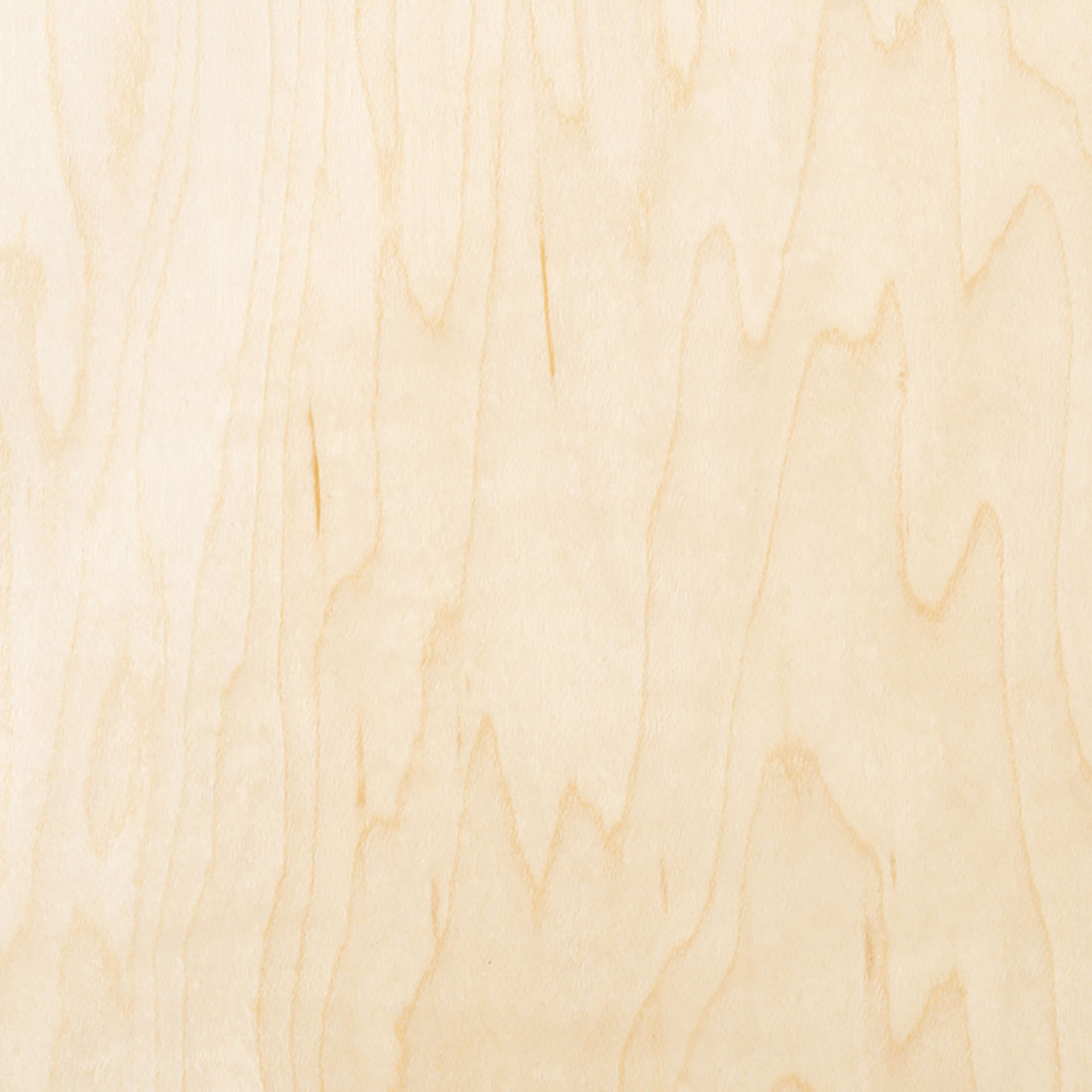 Nahaufnahme von hellem Holzmaser. Das Holz verläuft vertikal.