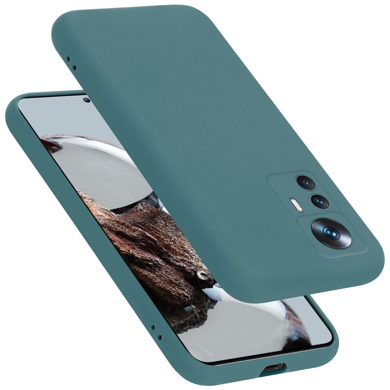 Eine teal-farbene Handyhülle und ein Telefon mit angezeigter Uhrzeit. Die Hülle ist abgenommen. Weißer Hintergrund.