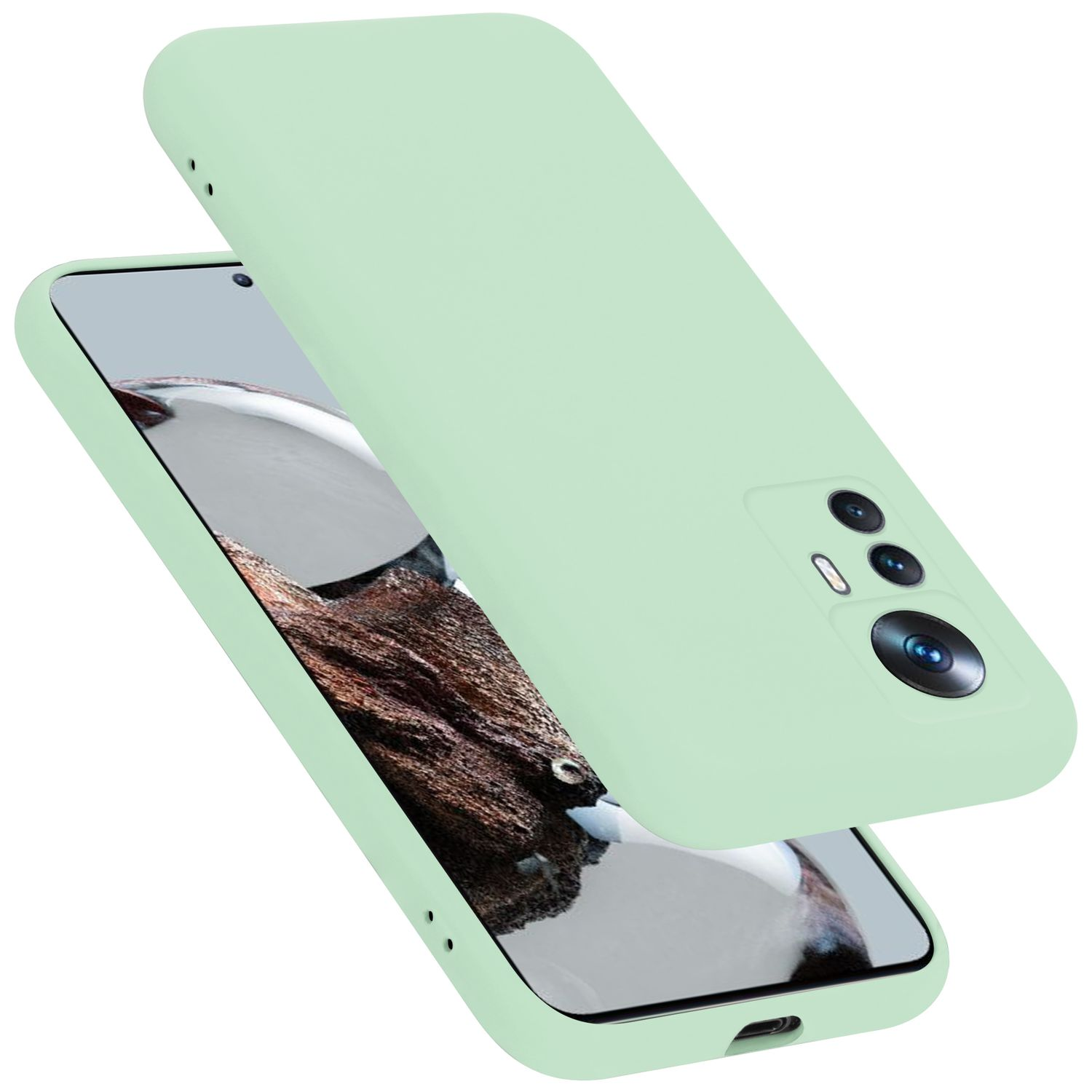 Grüne Handyhülle mit grünem Telefon. Die Handyhülle ist geöffnet.