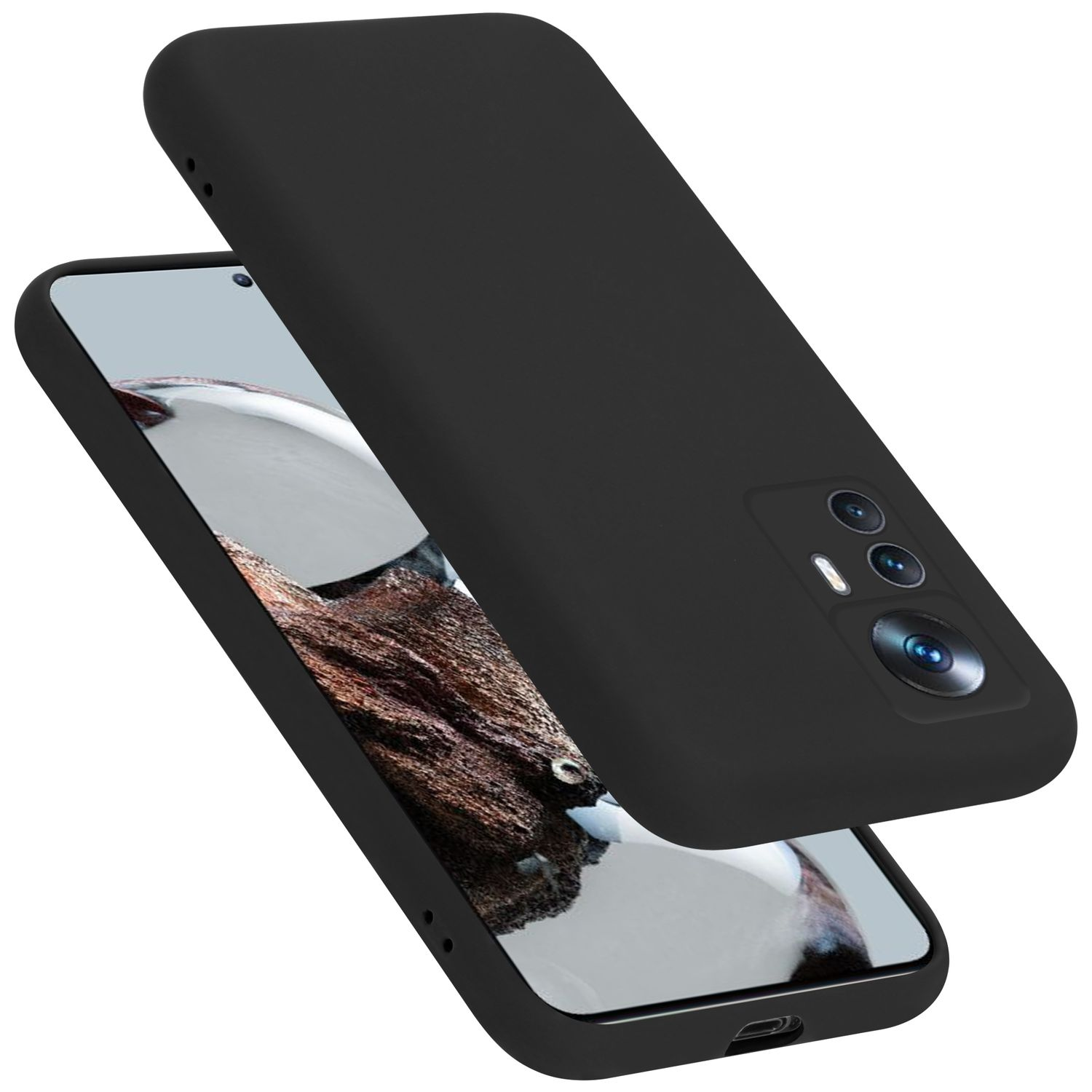 Schwarze Handyhülle mit Telefon darin. Das Telefon zeigt einen braunen und weißen Bildschirm. Gehäuse offen.