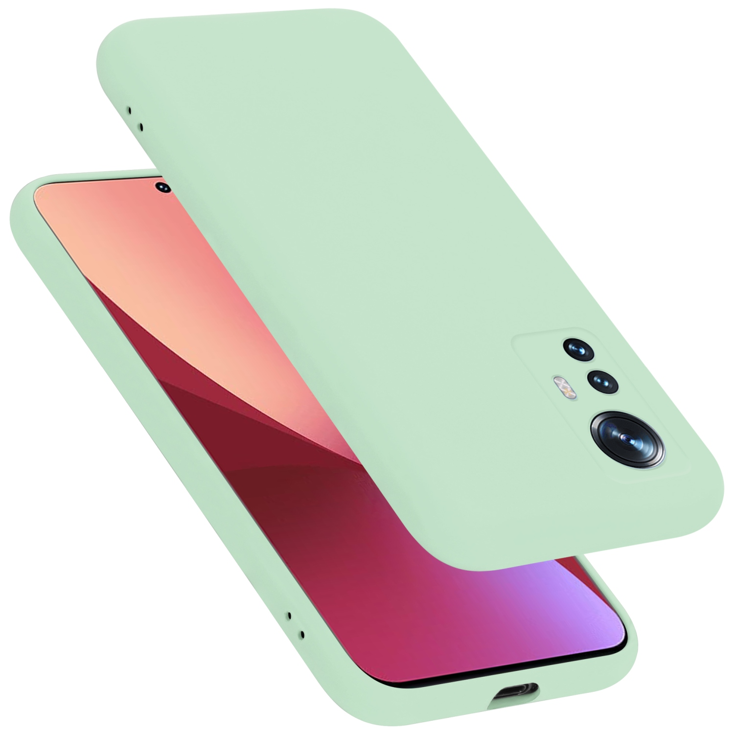 Hellgrüne Handyhülle mit Telefon. Zwei Hüllen sind vorhanden, eine über der anderen. Das Telefon ist in der Hülle.