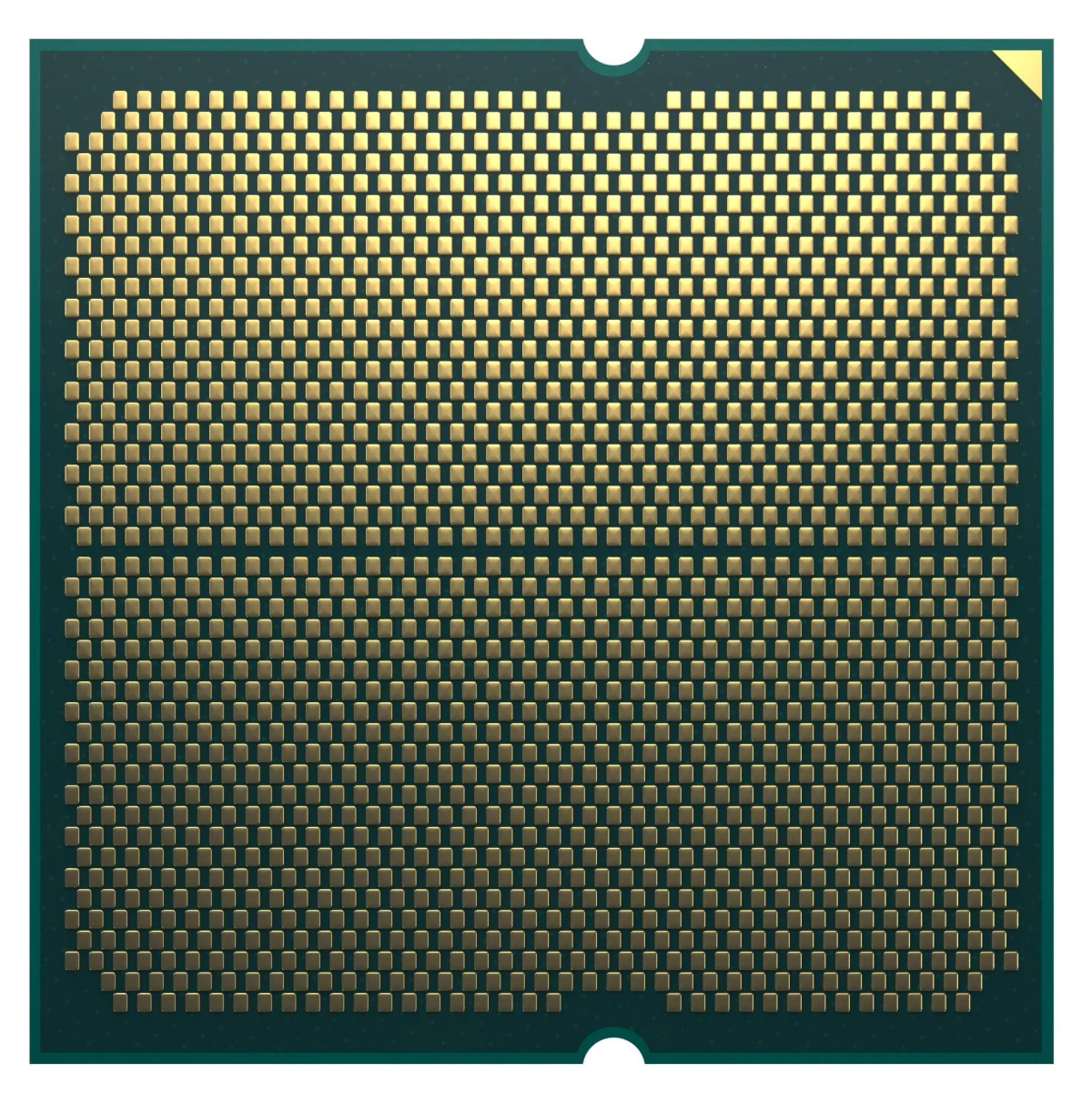Un primo piano di un chip CPU con numerosi pin quadrati color oro su una superficie verde.