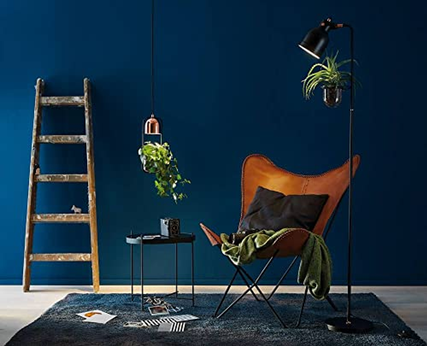 Innenraum mit Leiter, Stuhl und Pflanzen. Blaue Wand, dunkler Teppich.