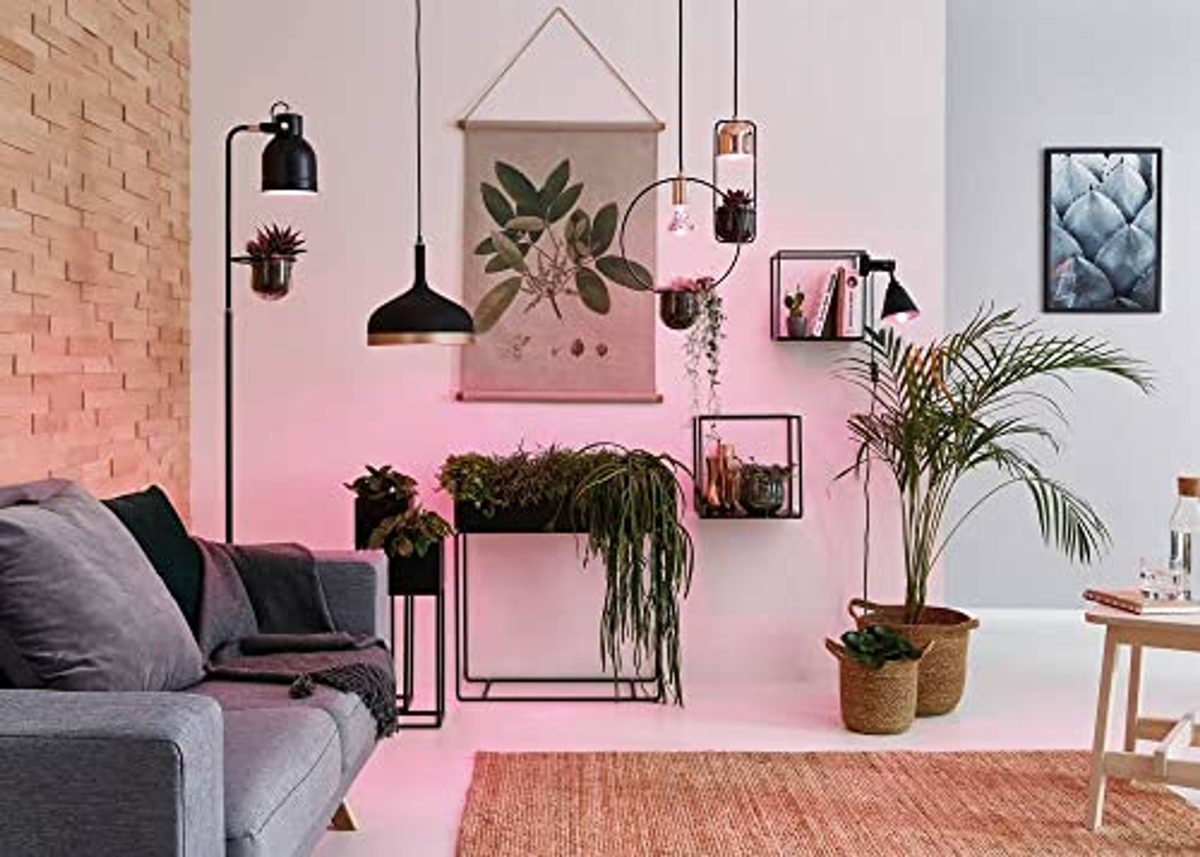 Wohnzimmerszene mit Pflanzen, Lampen und einem grauen Sofa. Die Beleuchtung ist rosa und die Wände sind weiß.