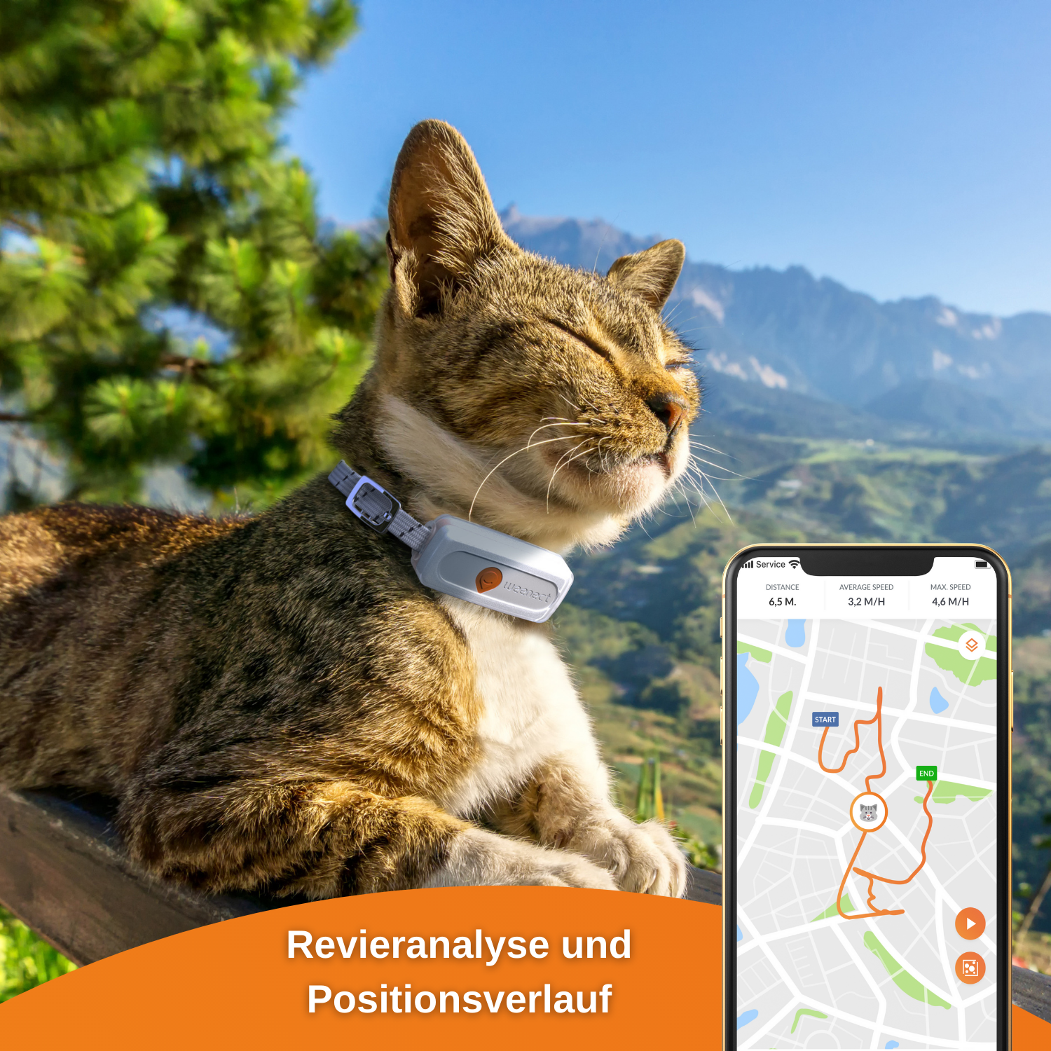 WEENECT Cat XS GPS Tracker Katze für