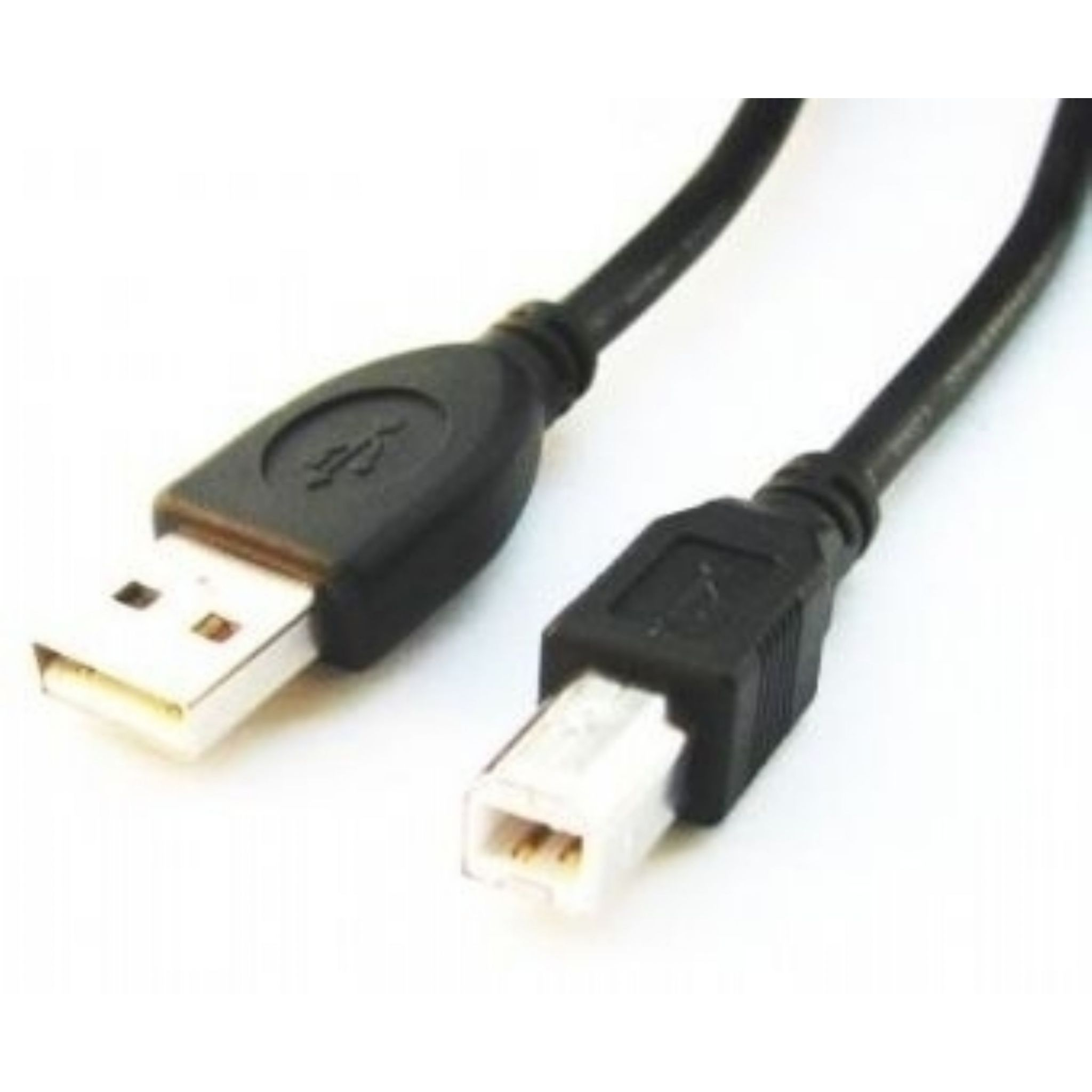 Cavo USB nero con connettore USB-A e USB-B, vista angolata su sfondo bianco.