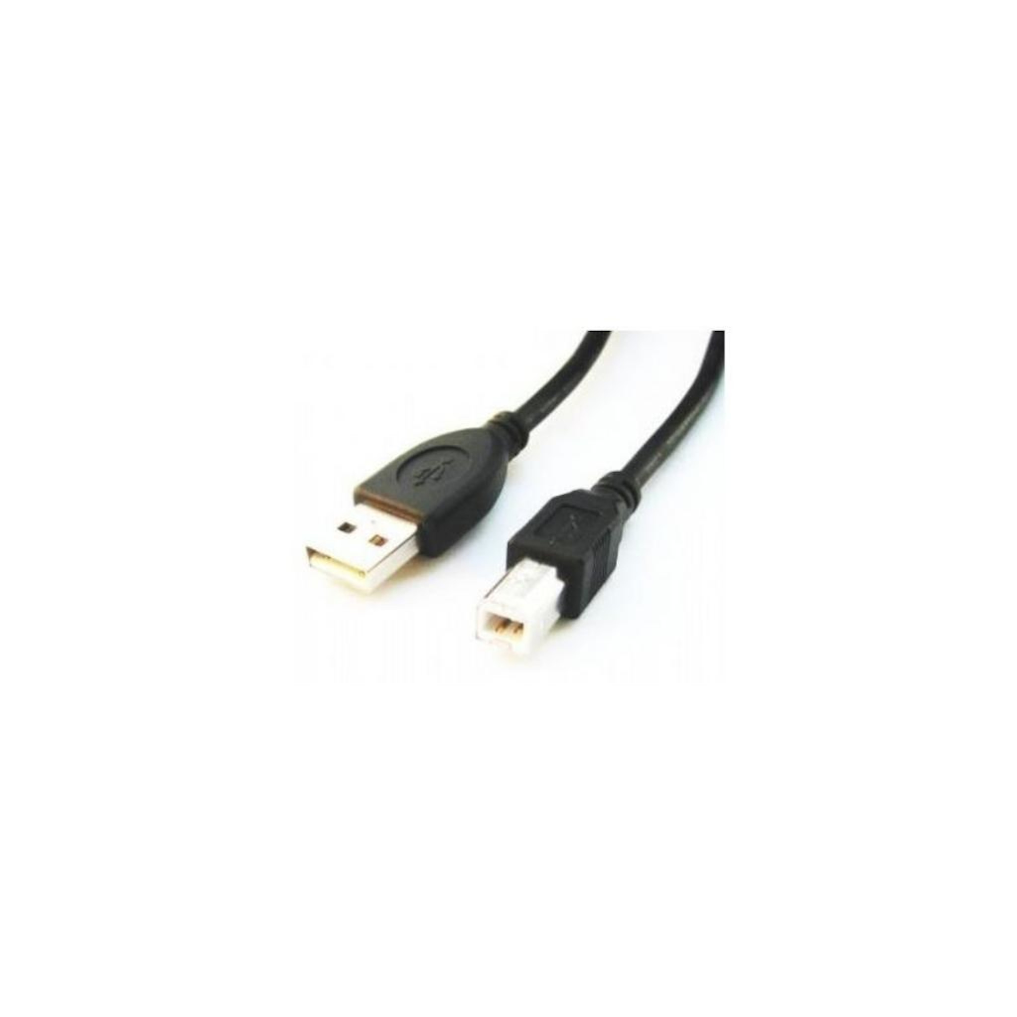Un cavo USB con connettori USB e mini-USB, colore nero, su sfondo bianco.