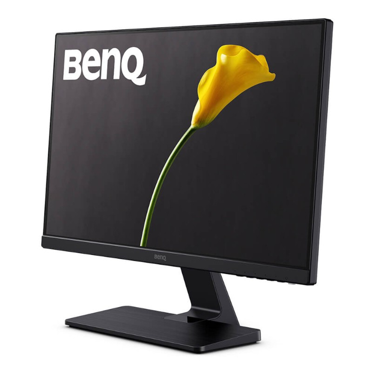 Un monitor BenQ nero mostra un giglio giallo su sfondo nero. BenQ è stampato sopra.