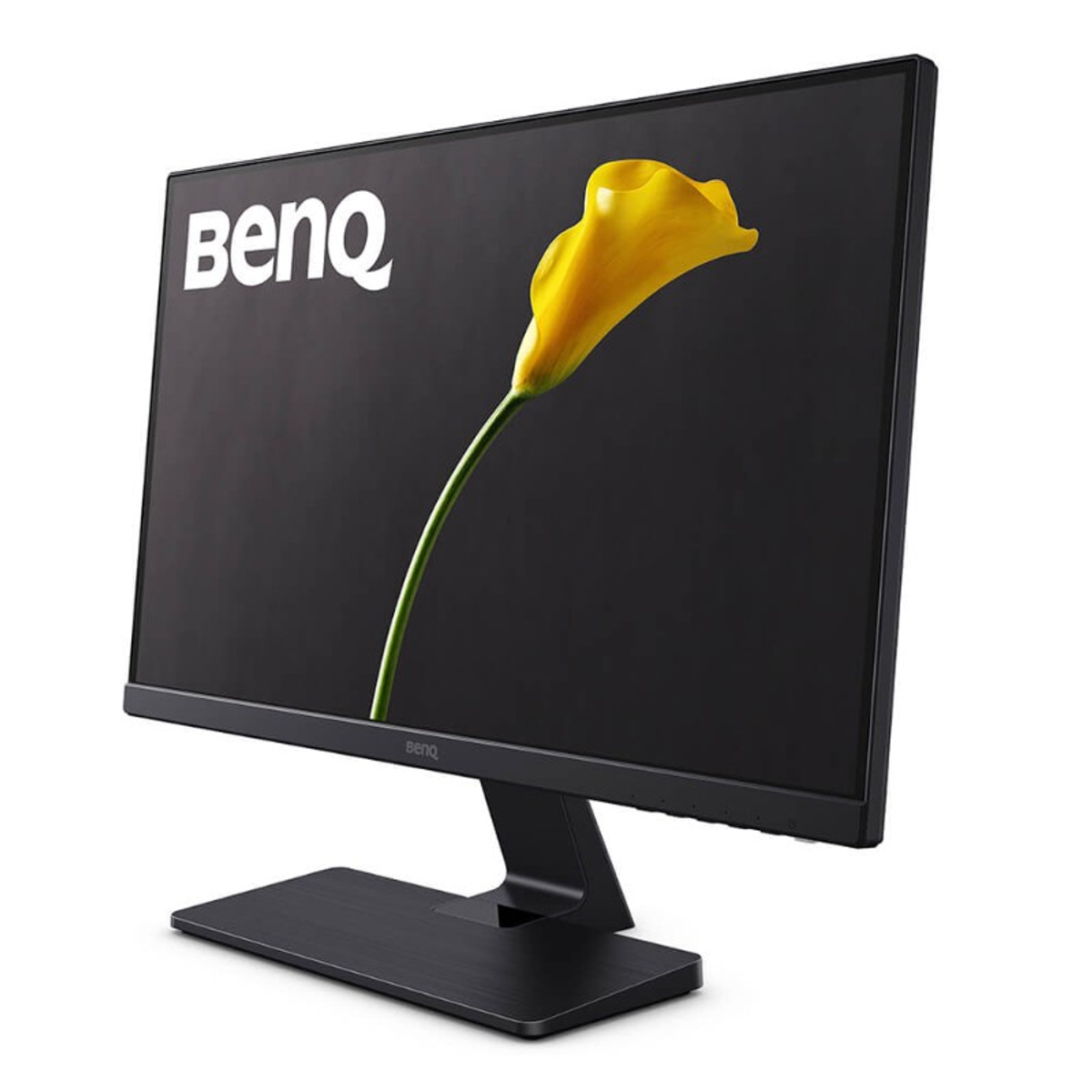 Un monitor per computer nero con un fiore giallo sullo schermo e il logo BenQ.