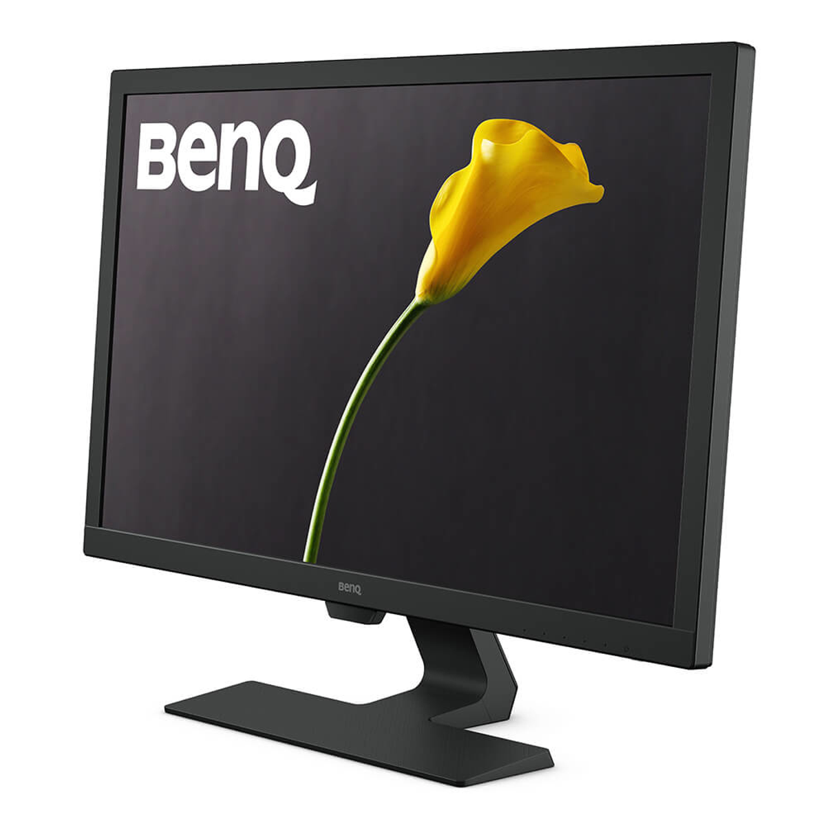 Un monitor BenQ mostra una calla gialla su uno schermo nero.