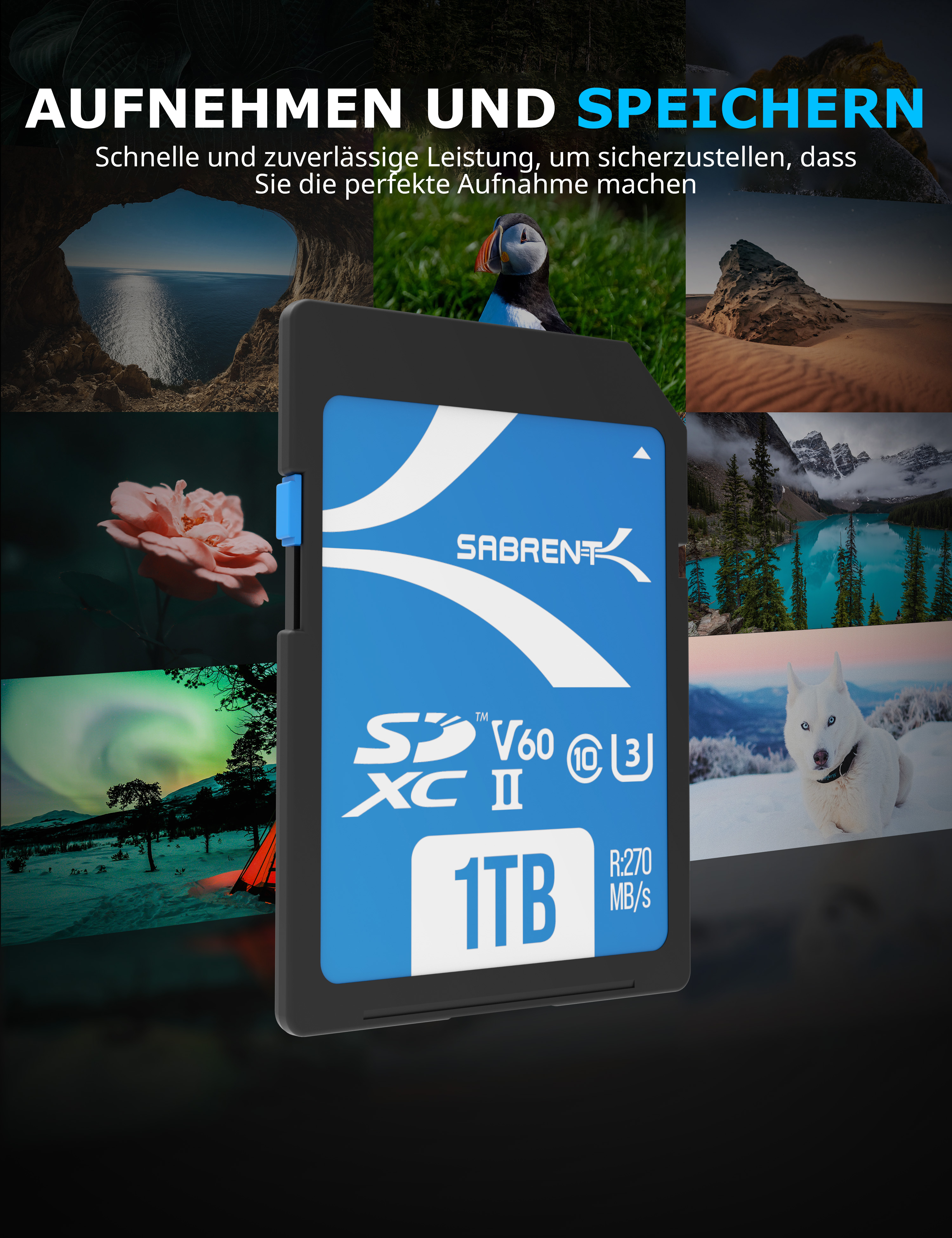SABRENT V60 1TB SD UHS-II, MB/s SDXC Karte, 1 270 SD TB