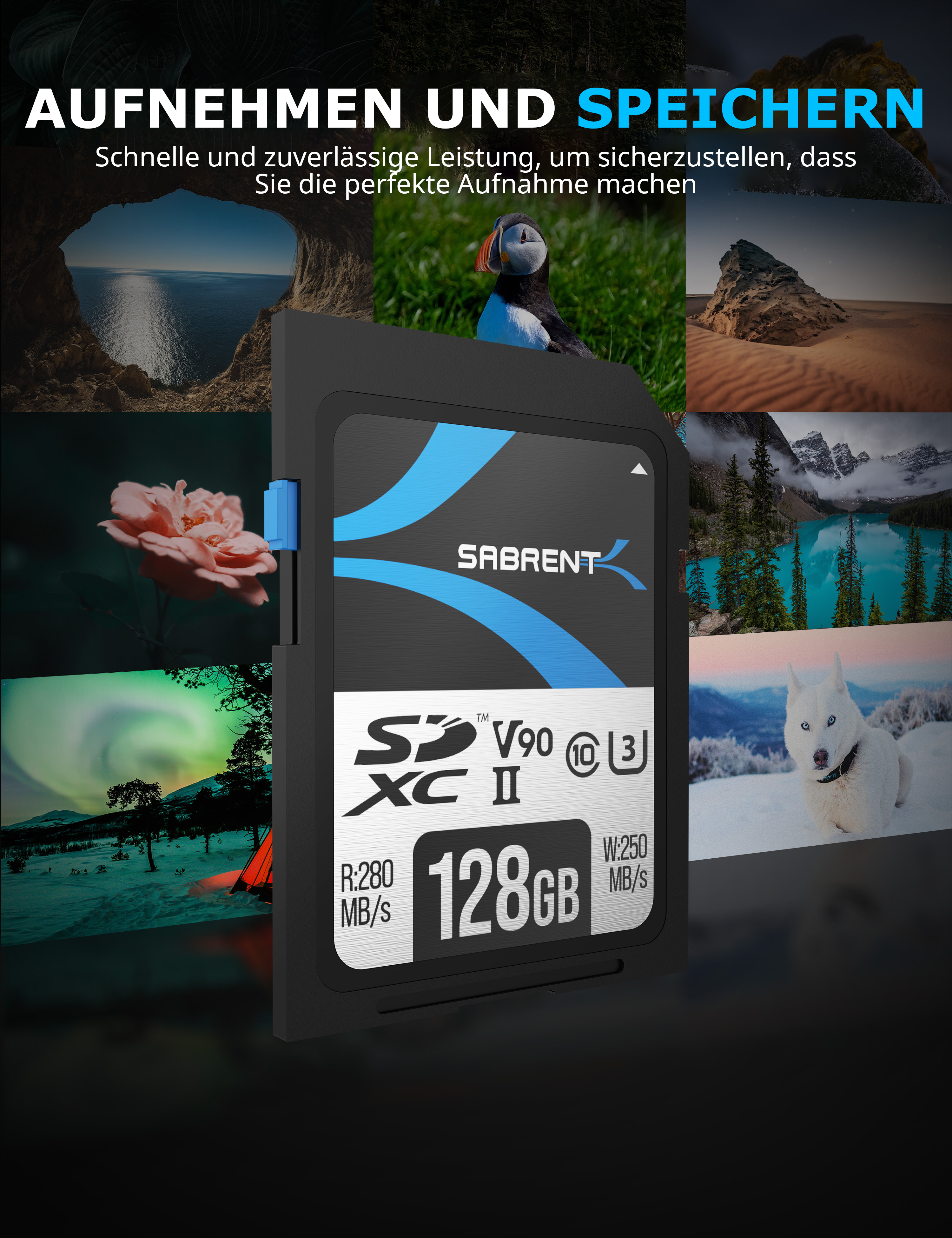 280 Karte, SD SD 128 GB, V90 128GB SABRENT SDXC UHS-II, MB/s