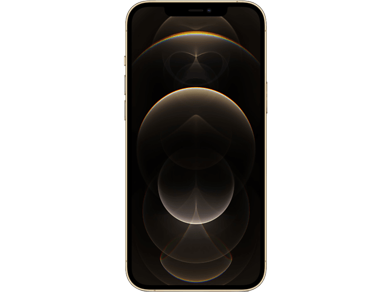 Max Gold 12 SIM REFURBISHED(*) APPLE Pro 256 iPhone Dual GB